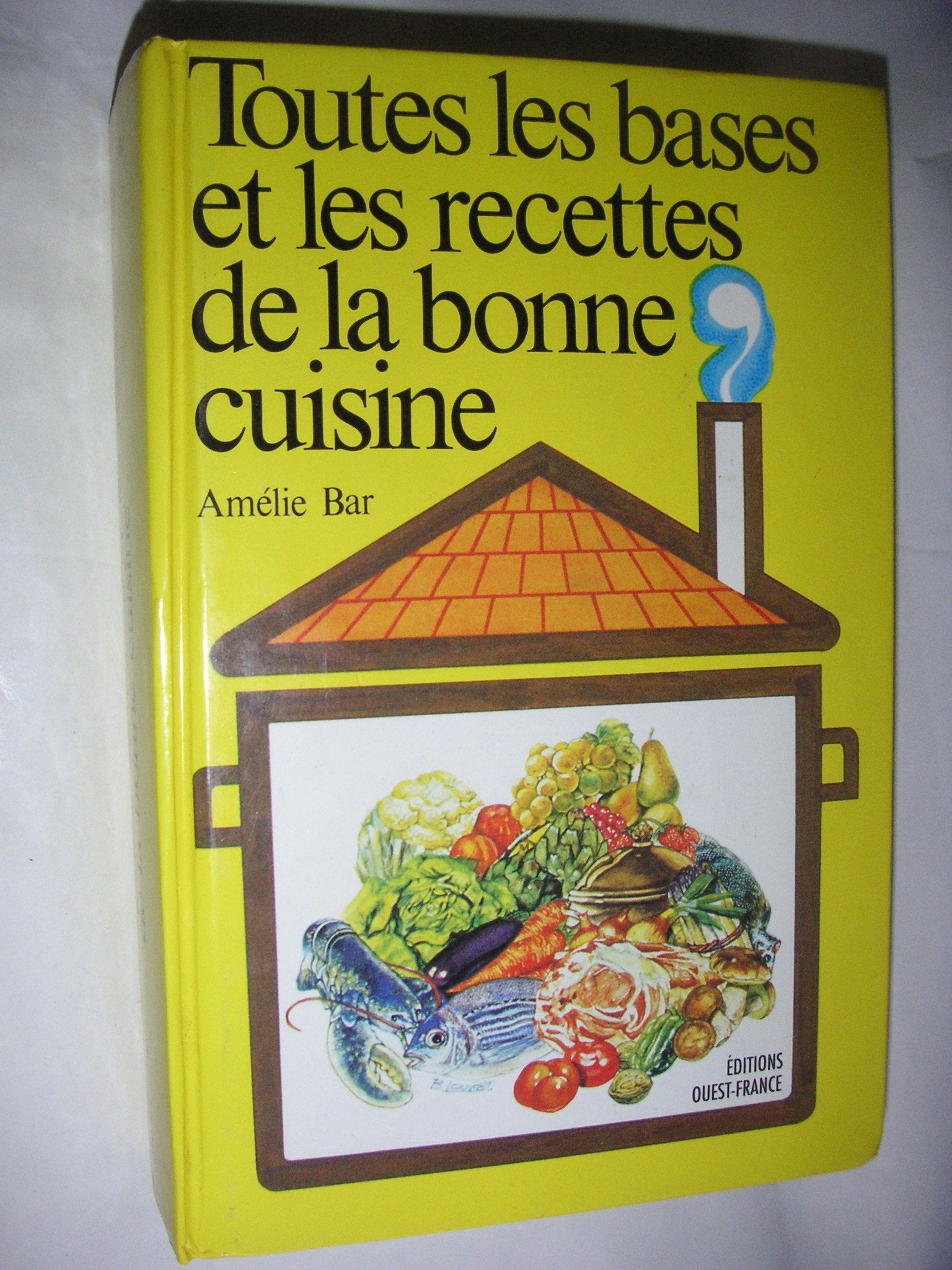 Toutes les bases et les recettes de la bonne cuisine 9782737335860