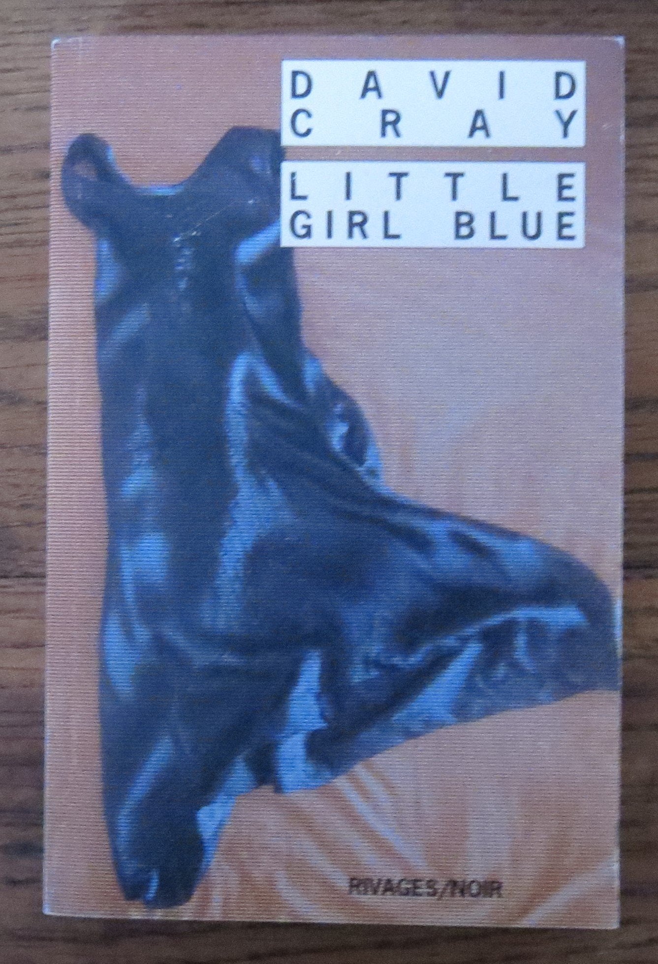 Little Girl Blue 9782743615598