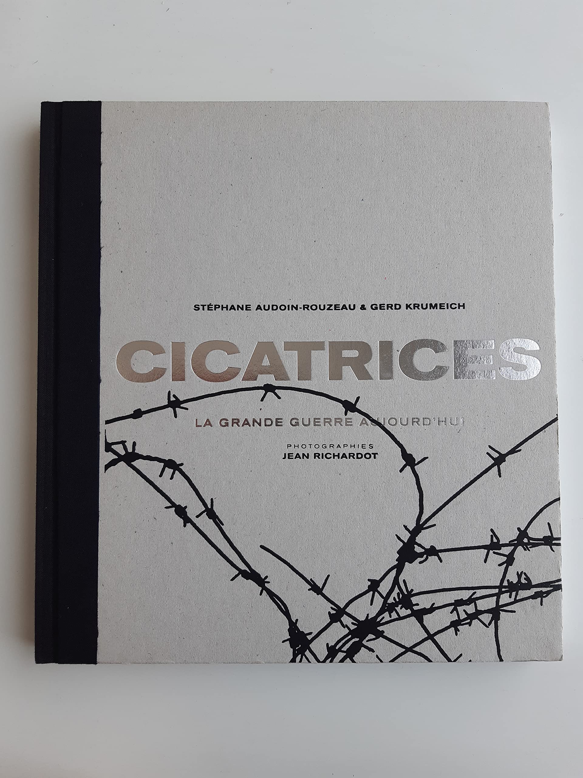 Cicatrices. La Grande Guerre aujourd'hui 9782847345094