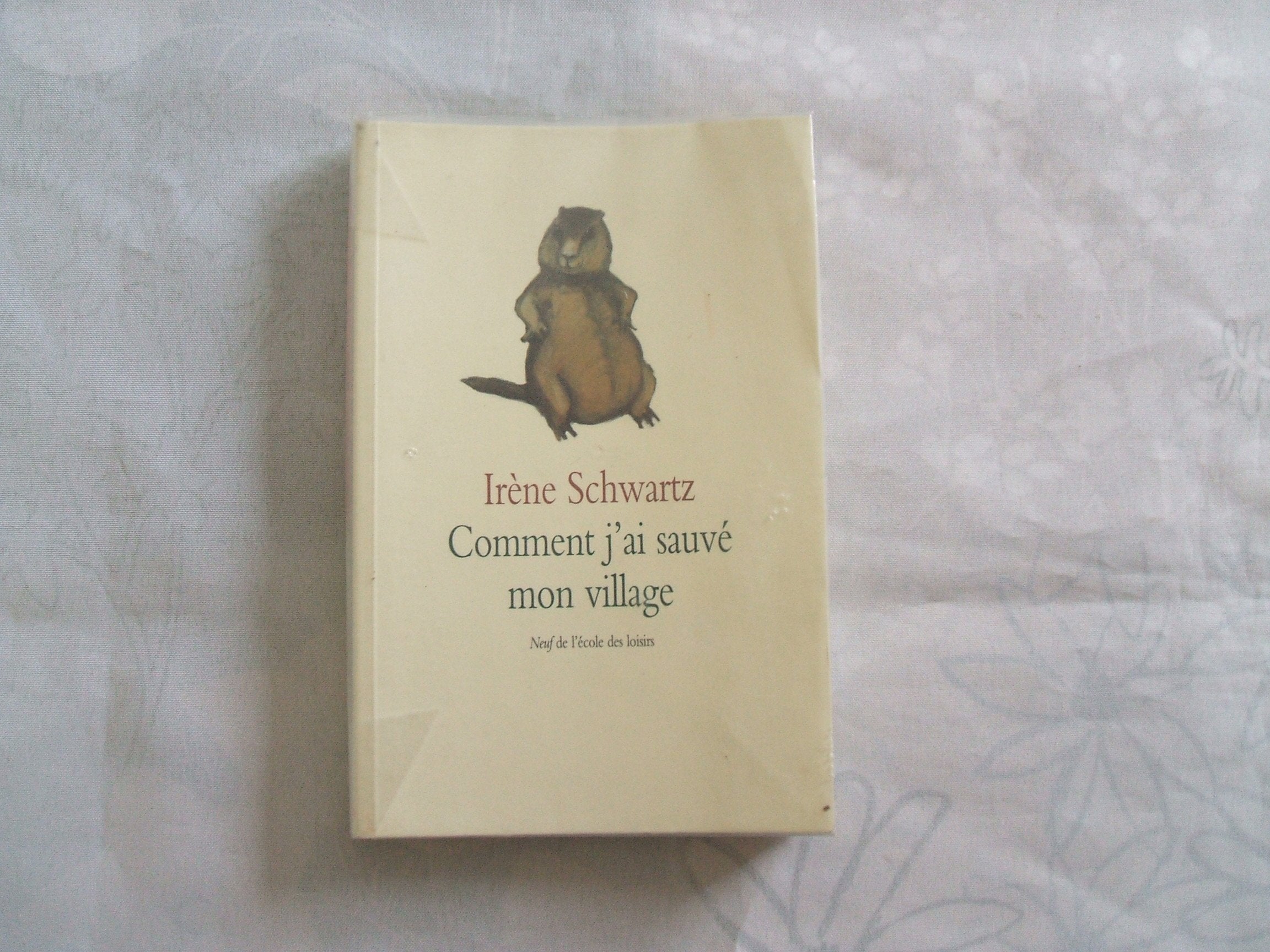 Comment j'ai sauvé mon village 9782211055086