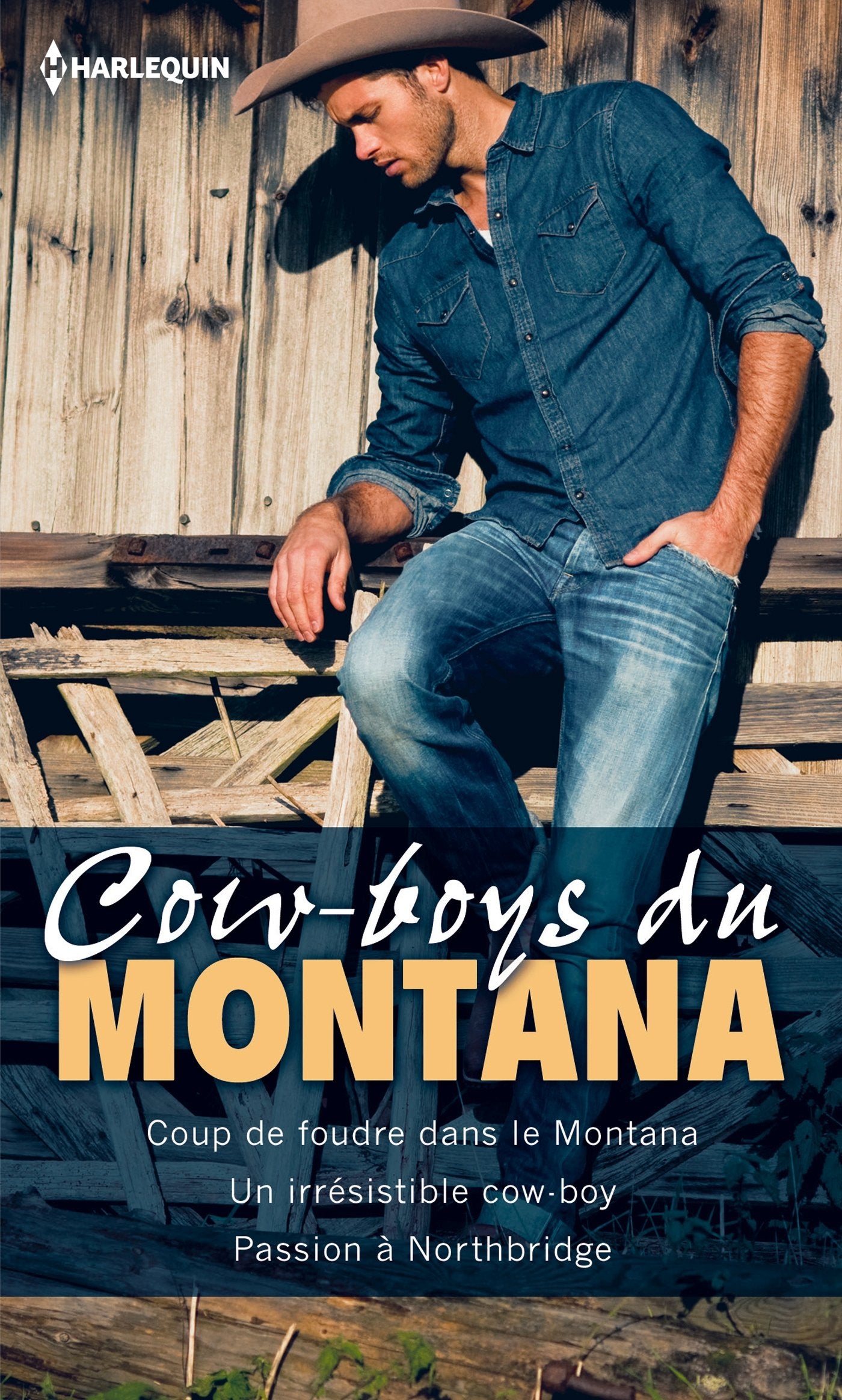 Cow-boys du Montana: Coup de foudre dans le Montana ; Un irrésistible cow-boy ; Passion à Northbridge 9782280331470