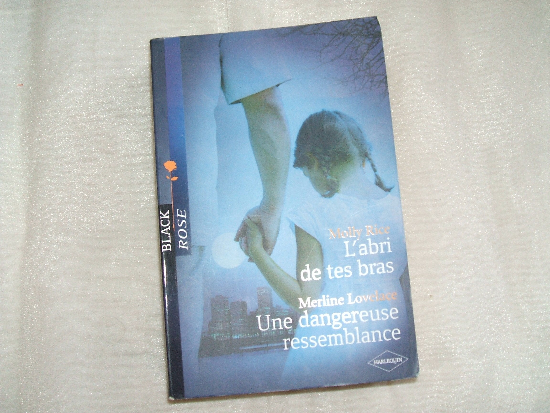 L'abri de tes bras ; Une dangereuse ressemblance 9782280839280