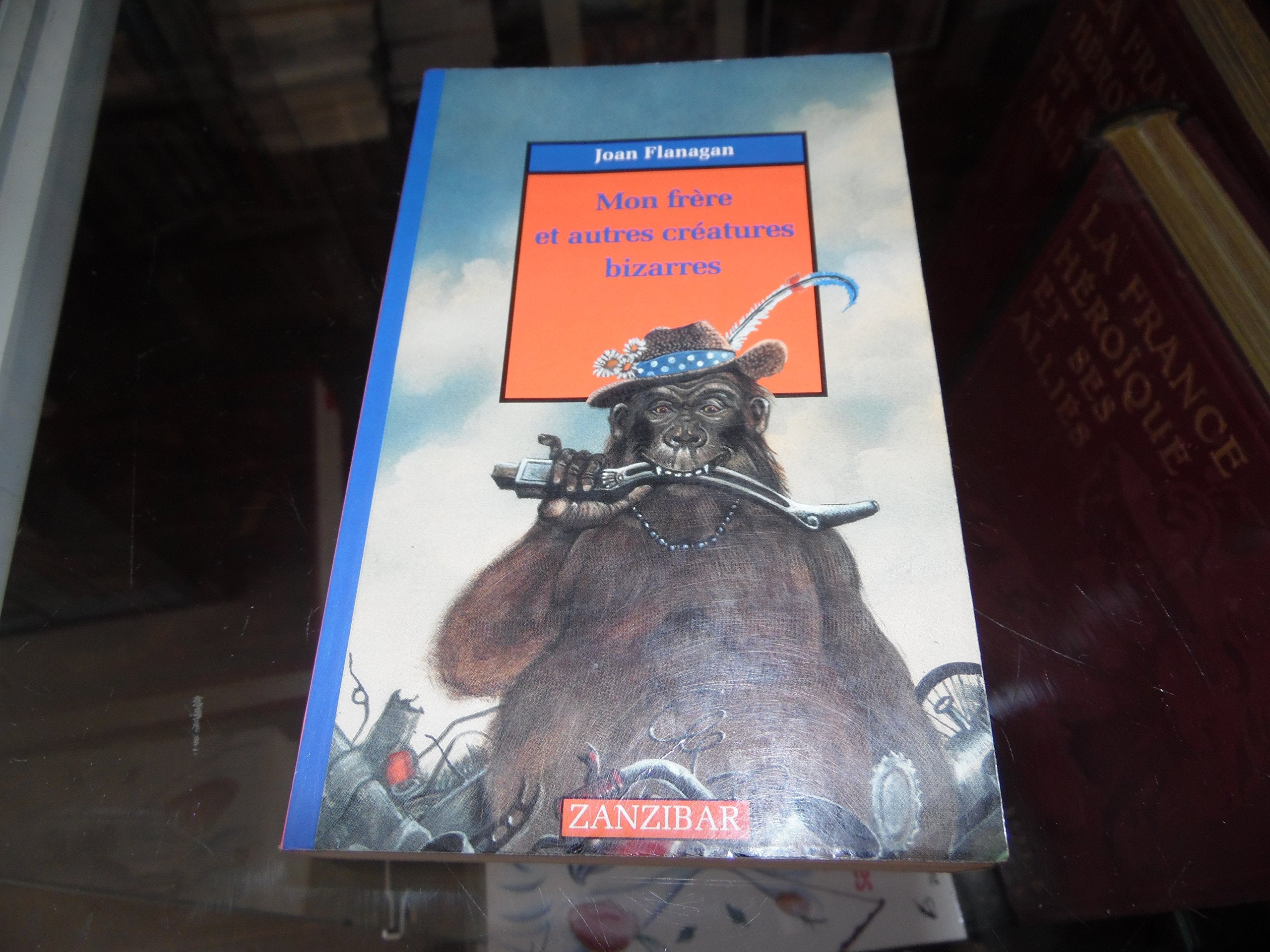 Mon frère et autres créatures bizarres 9782867268274