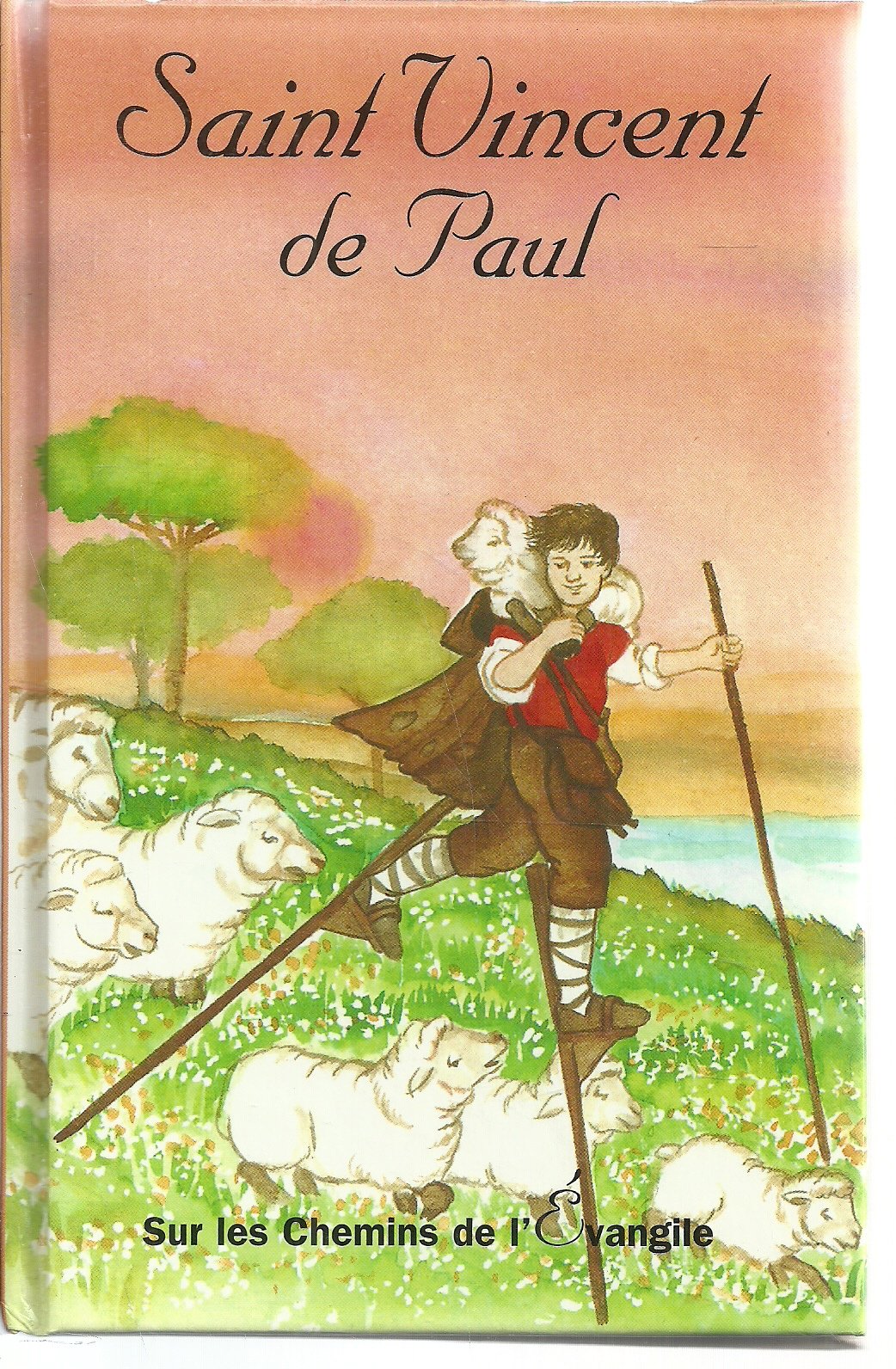 Saint Vincent de Paul 9782877187459