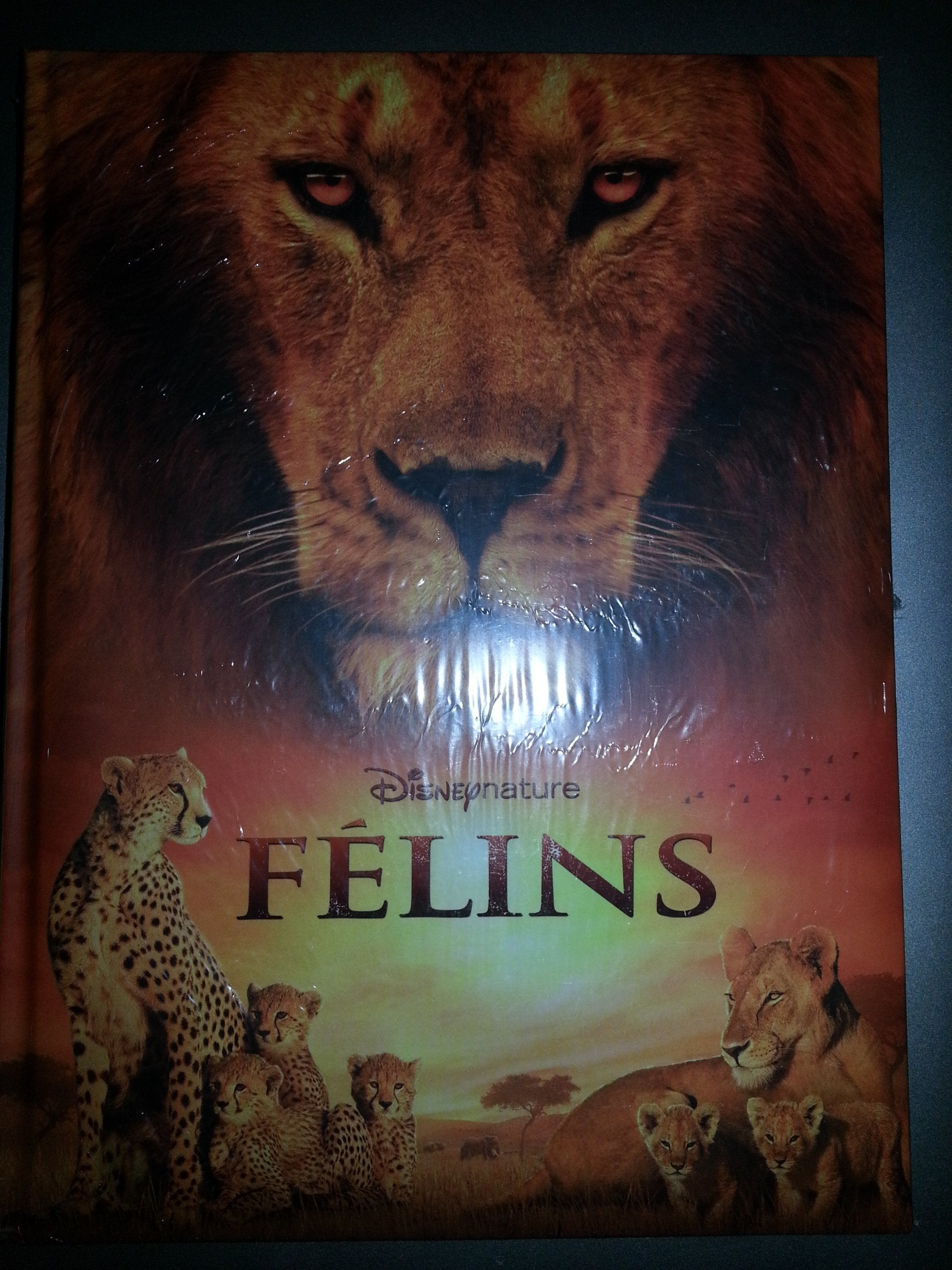 FELINS 9782298049442