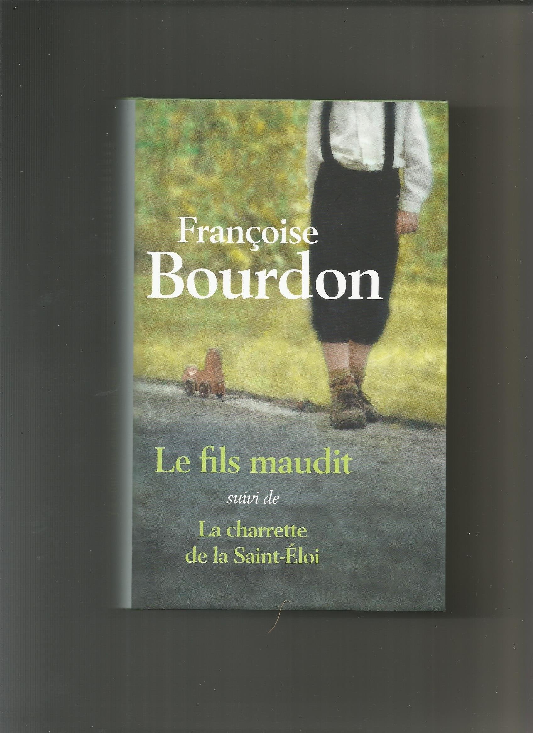 Le fils maudit 9782298101386