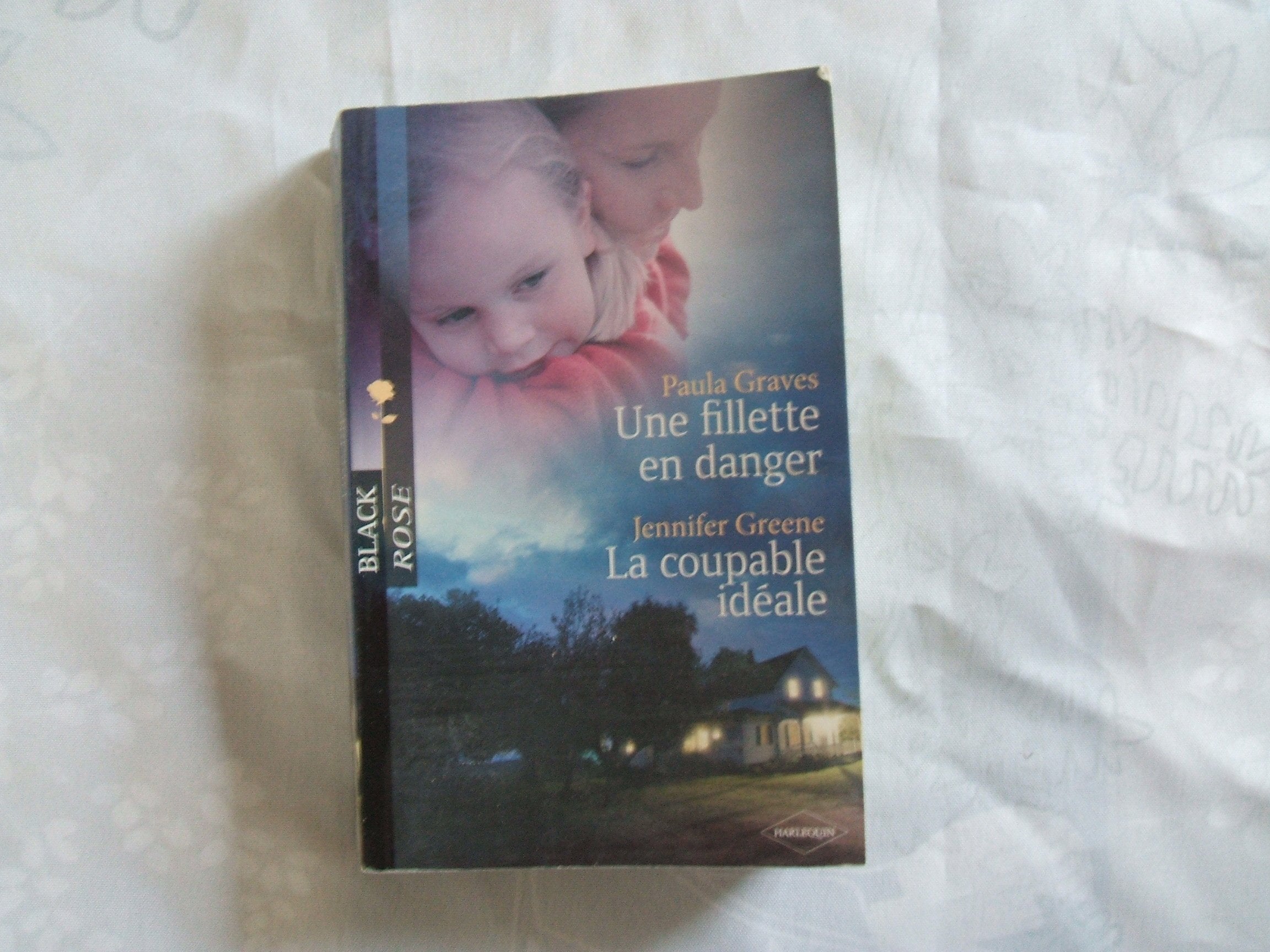 Une fillette en danger ; La coupable idéale 9782280216142