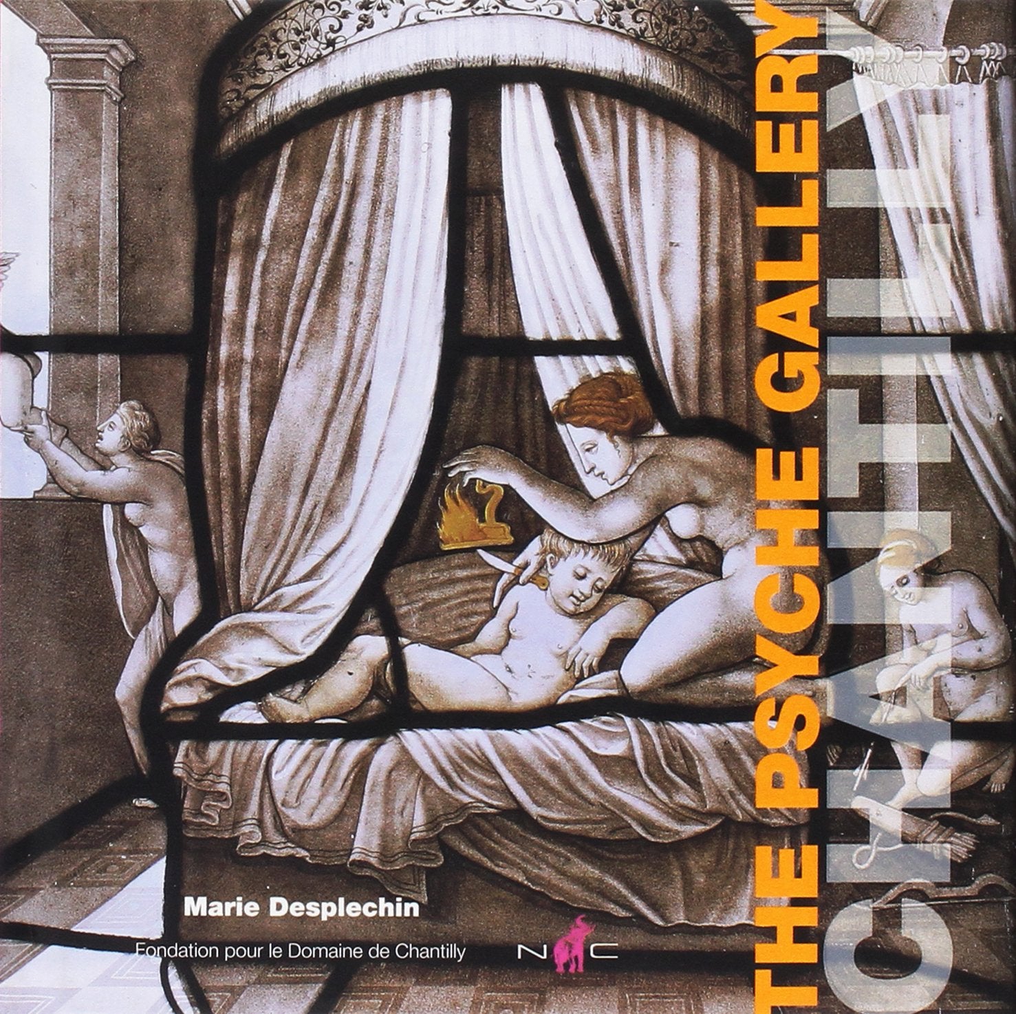 The Psyche Gallery 9782350390741