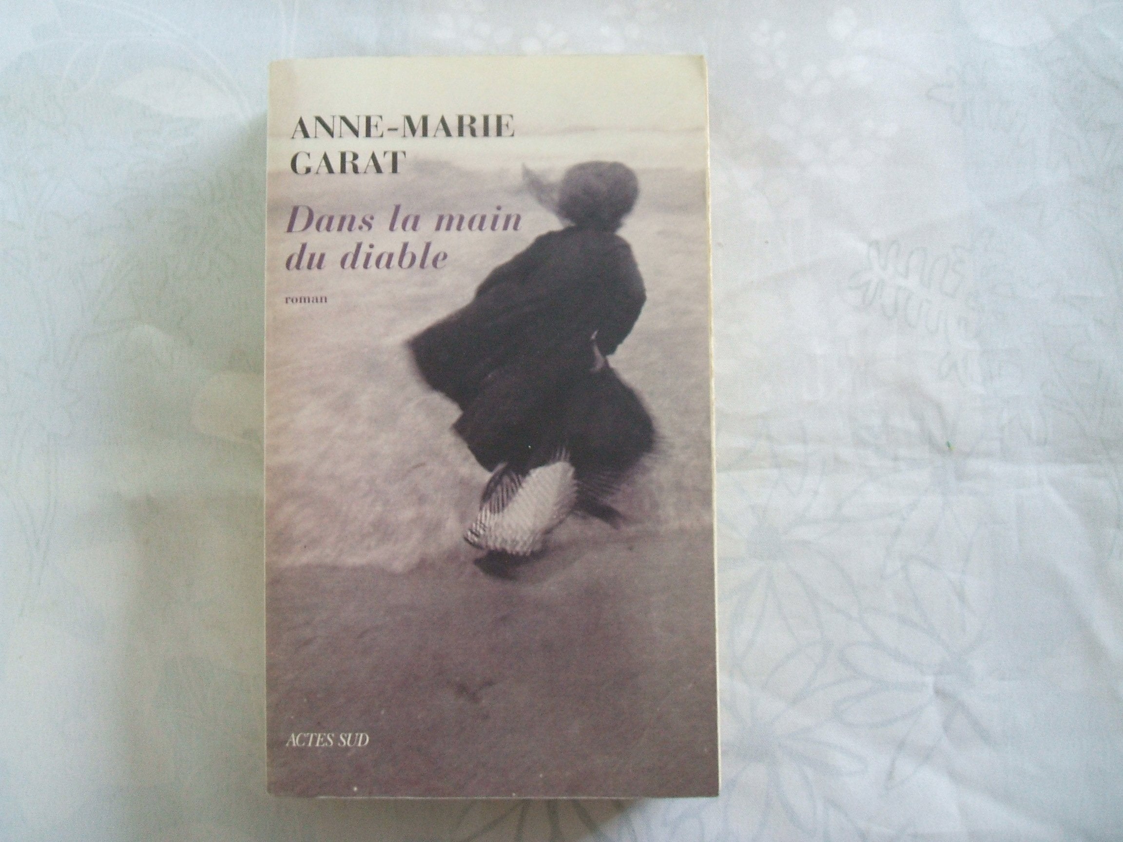 Dans la main du diable 9782742760510