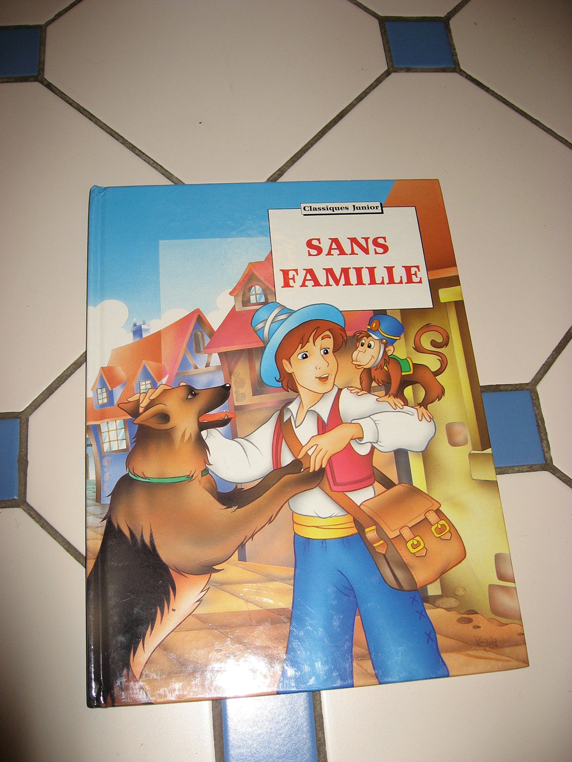 Sans famille (Classiques junior) 9782743406707