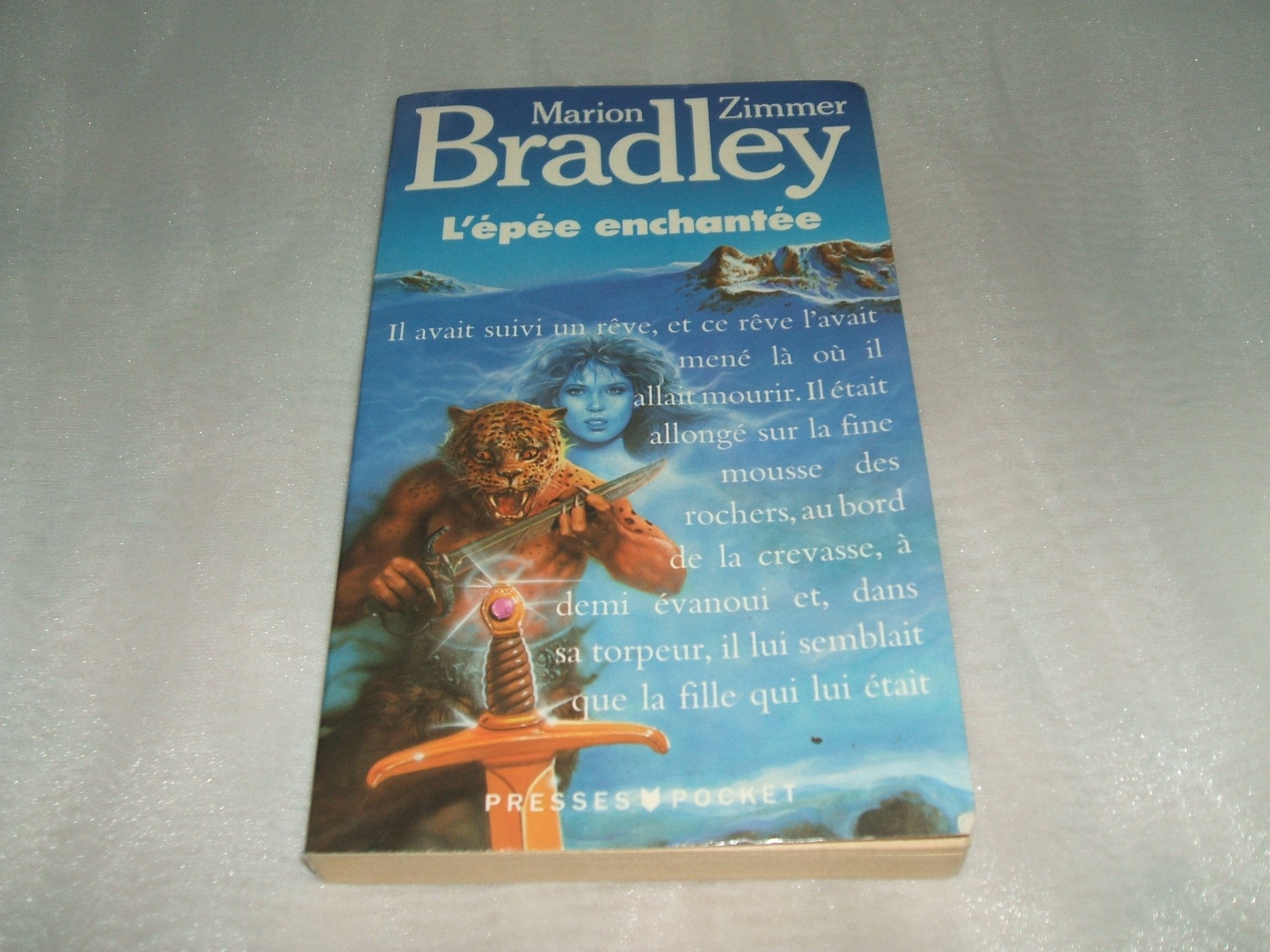 L'Epée enchantée 9782266032438