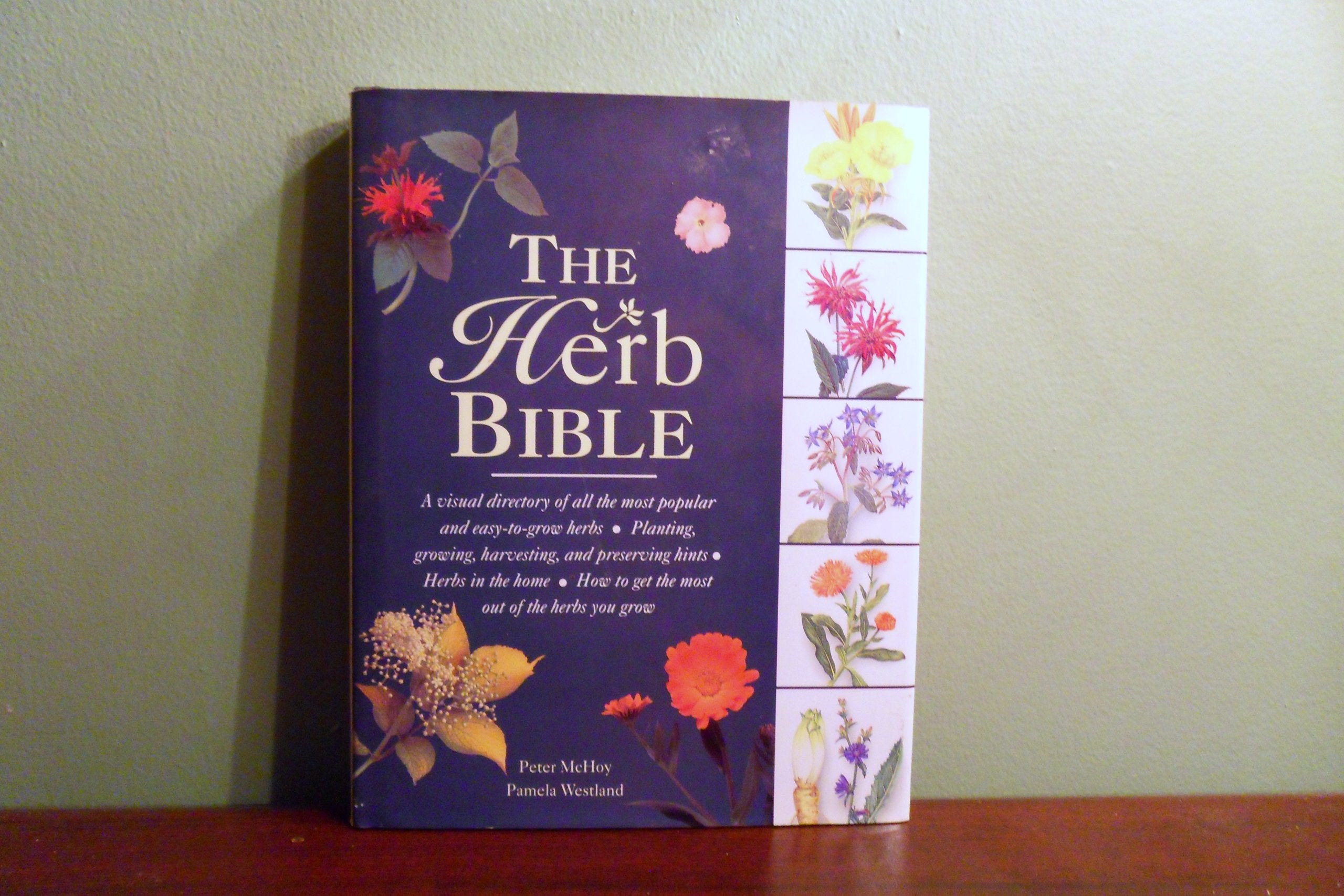 The Herb Bible 9780706372656