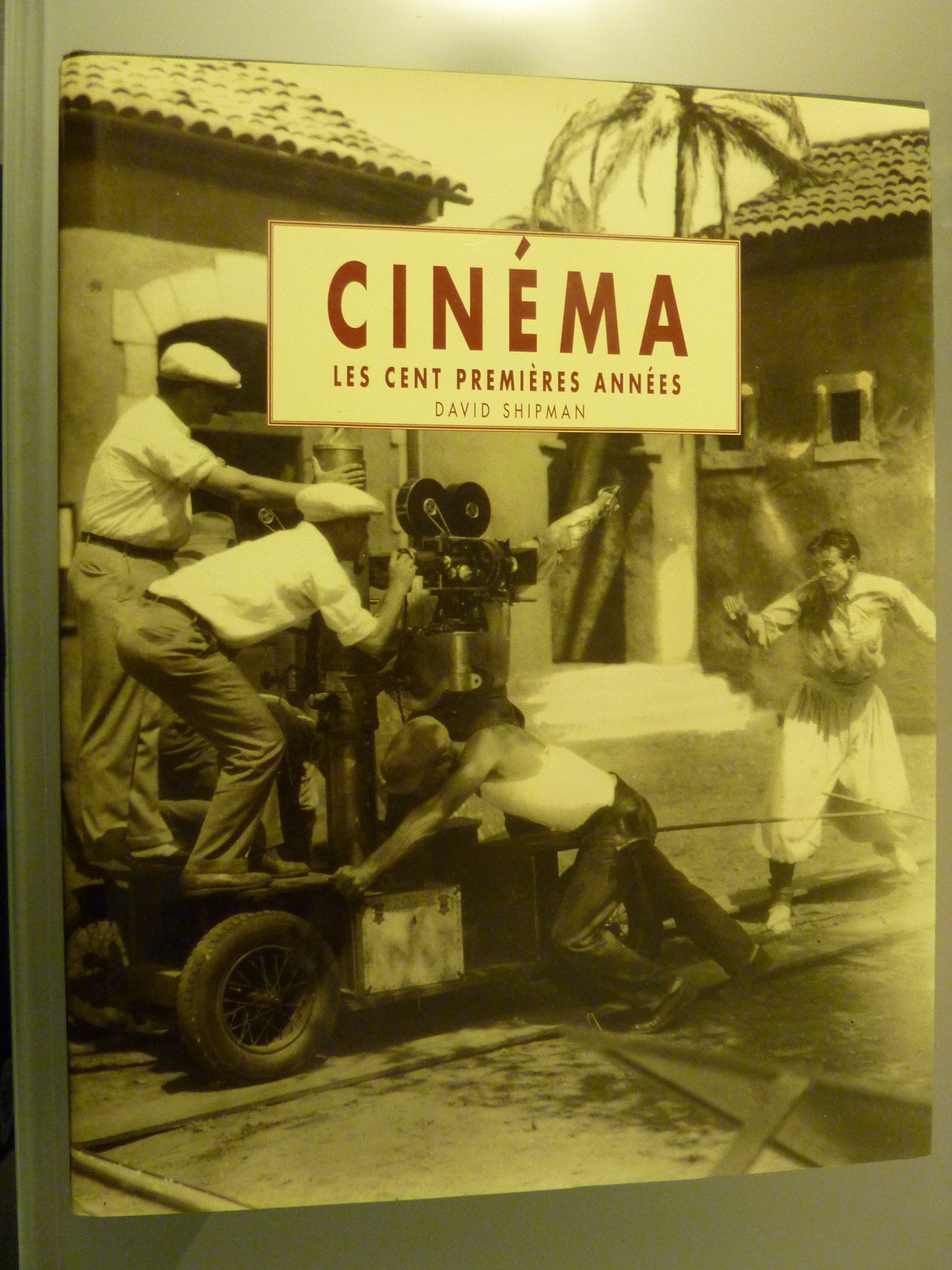 Cinéma : Les cent premières années 9782865352258