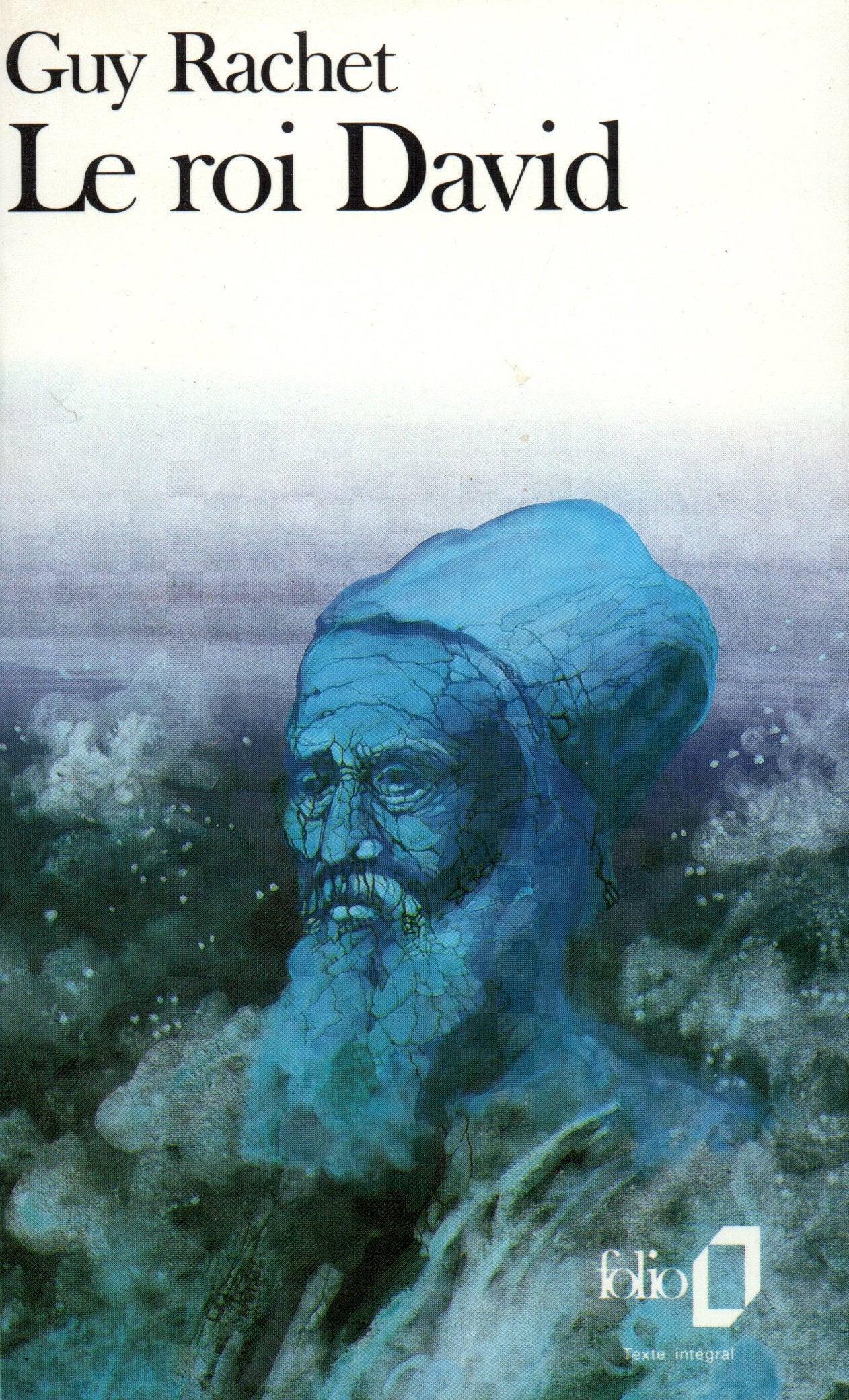 Le Roi David 9782070382897