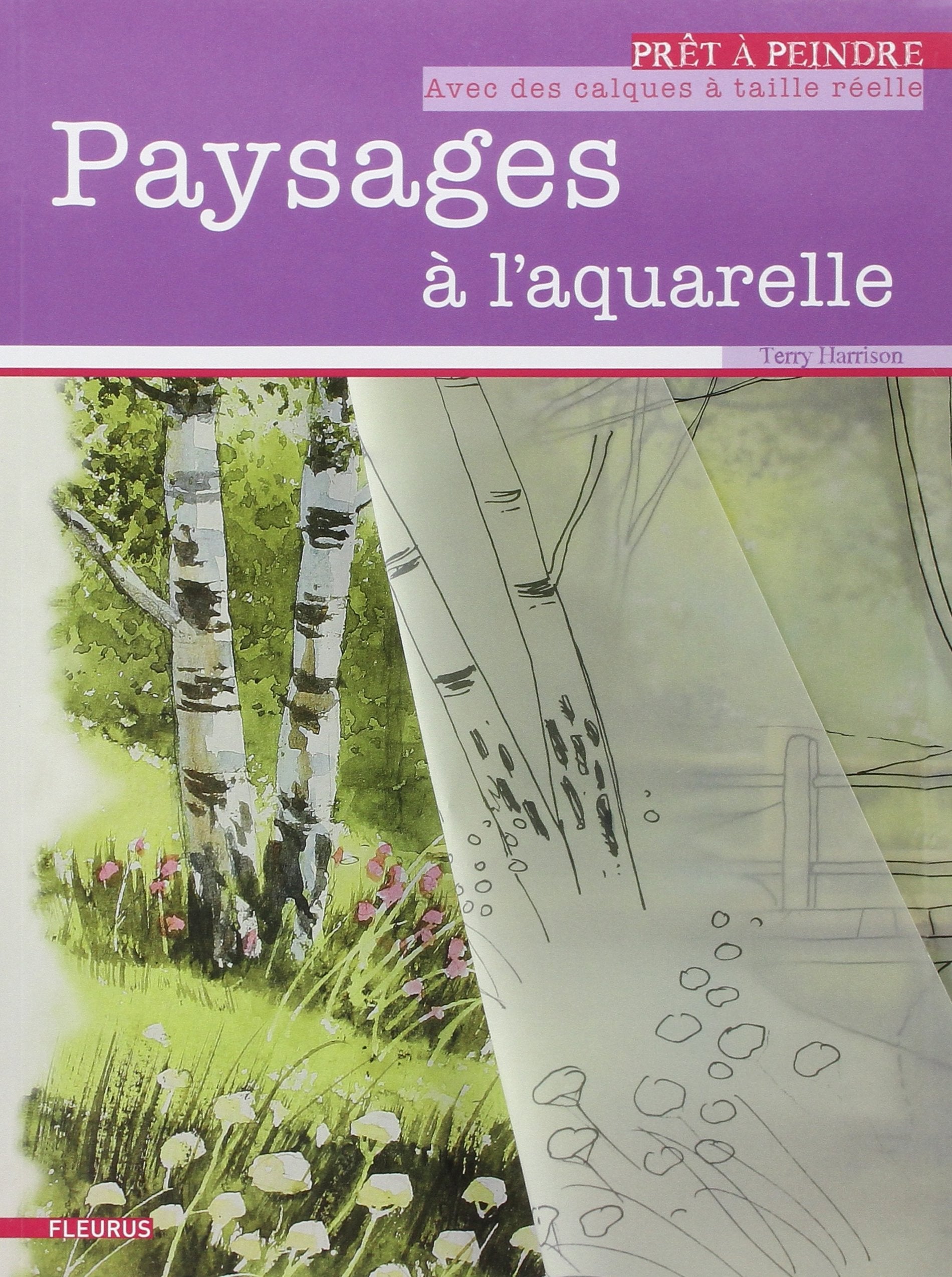 PAYSAGES A L'AQUARELLE AVEC CALQUES 9782215095972