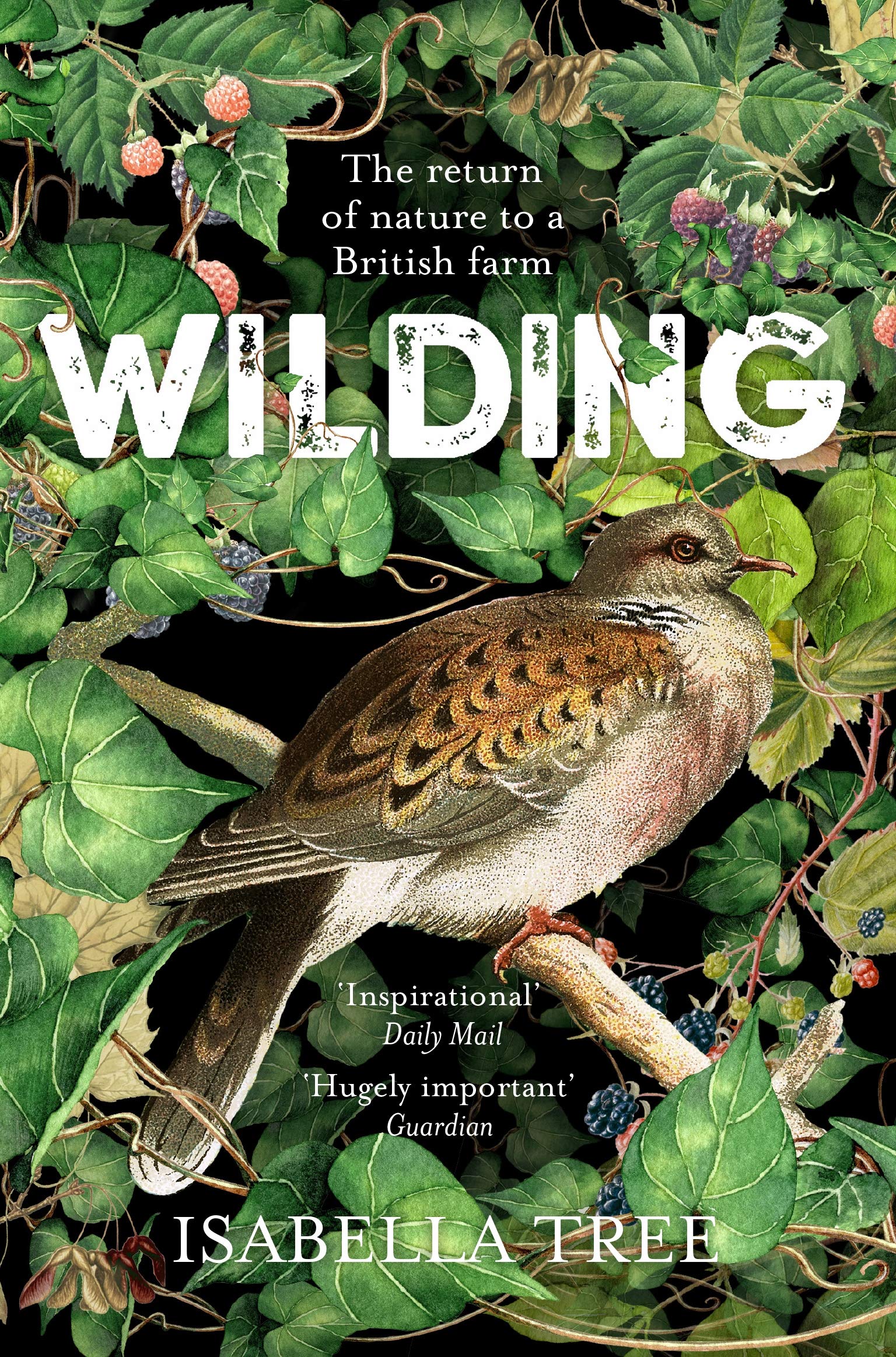 Wilding: The Return of Nature to a British Farm 9781509805105