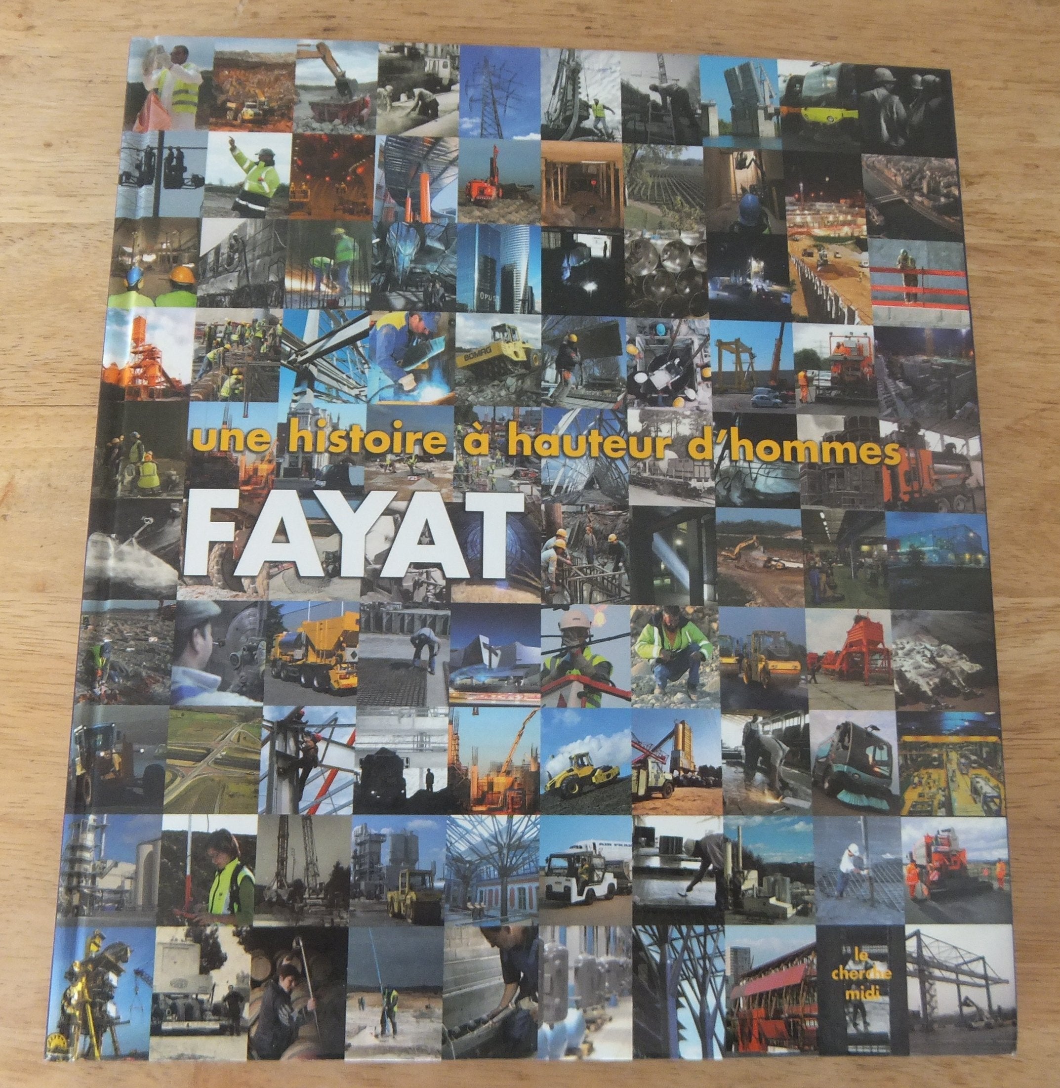 Fayat: Une histoire à hauteur d'homme 9782749108179