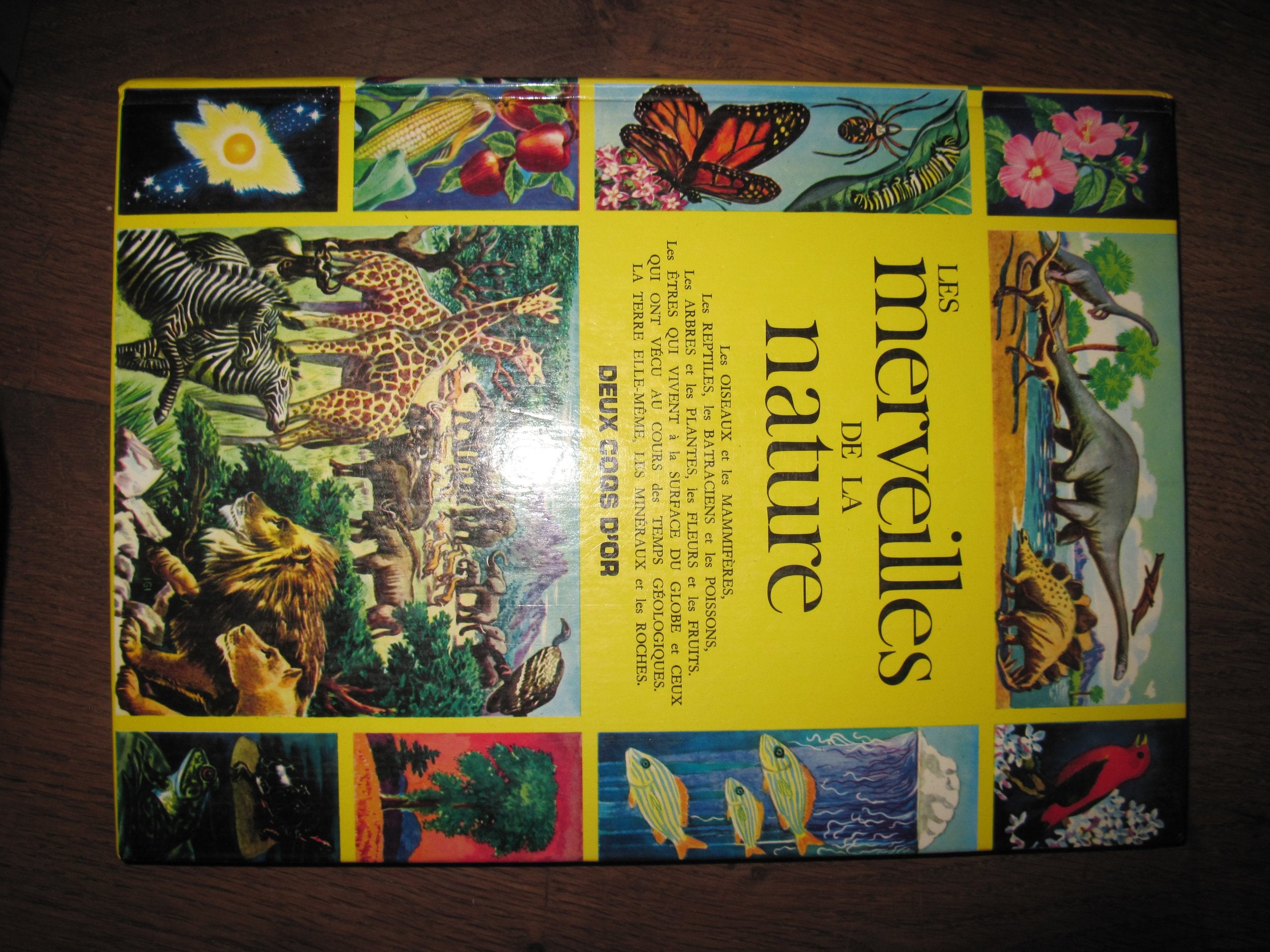 Les merveilles de la nature 9782719203101