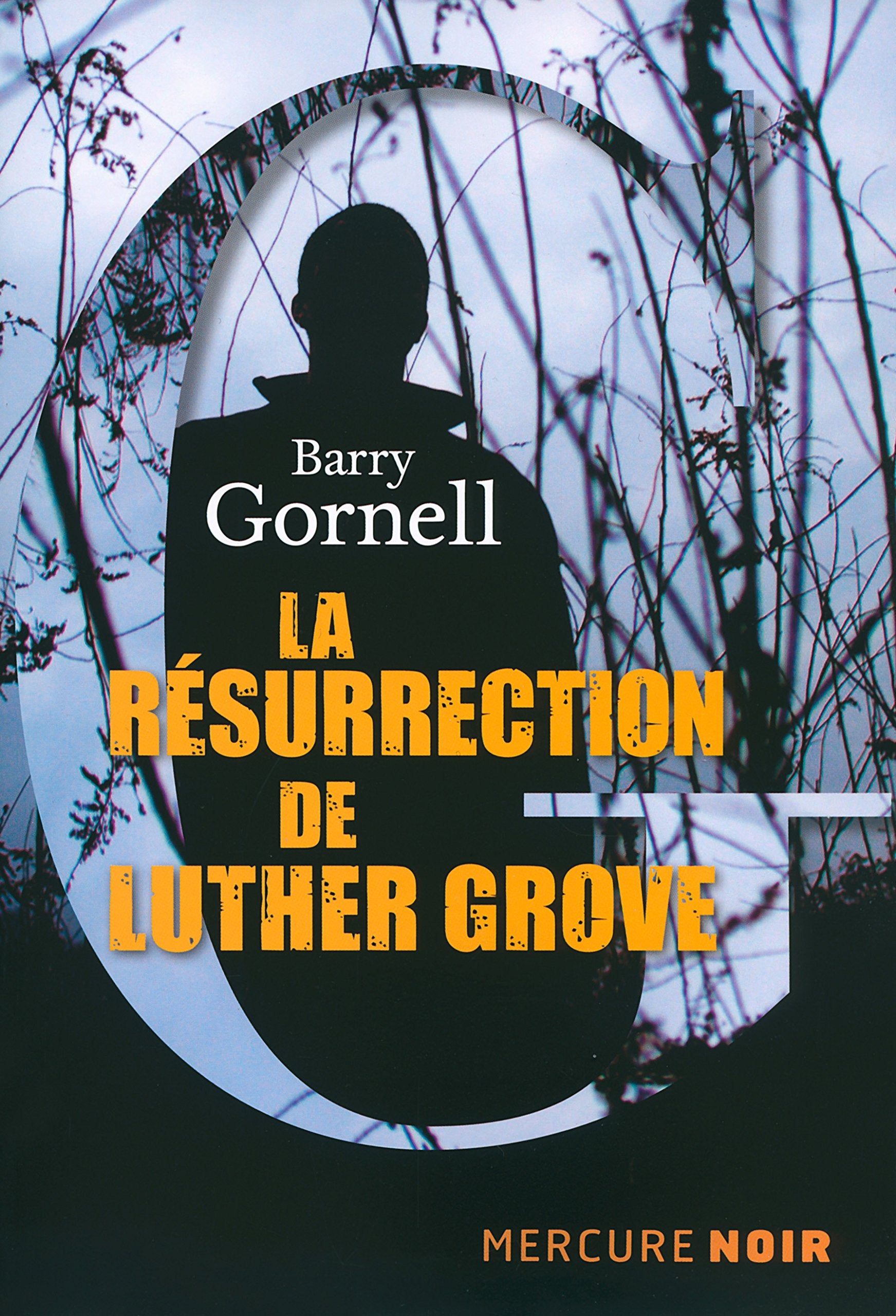 La résurrection de Luther Grove 9782715235113
