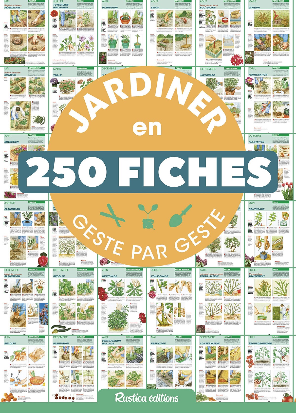 Jardiner en 250 fiches geste par geste 9782815311342