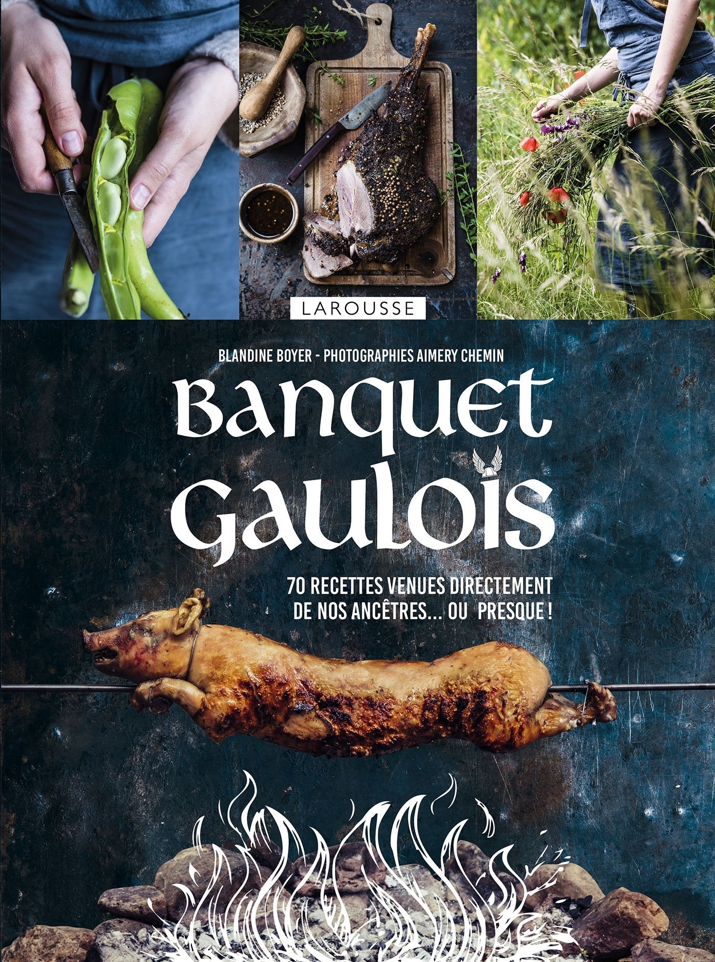 Banquet gaulois 9782035929990