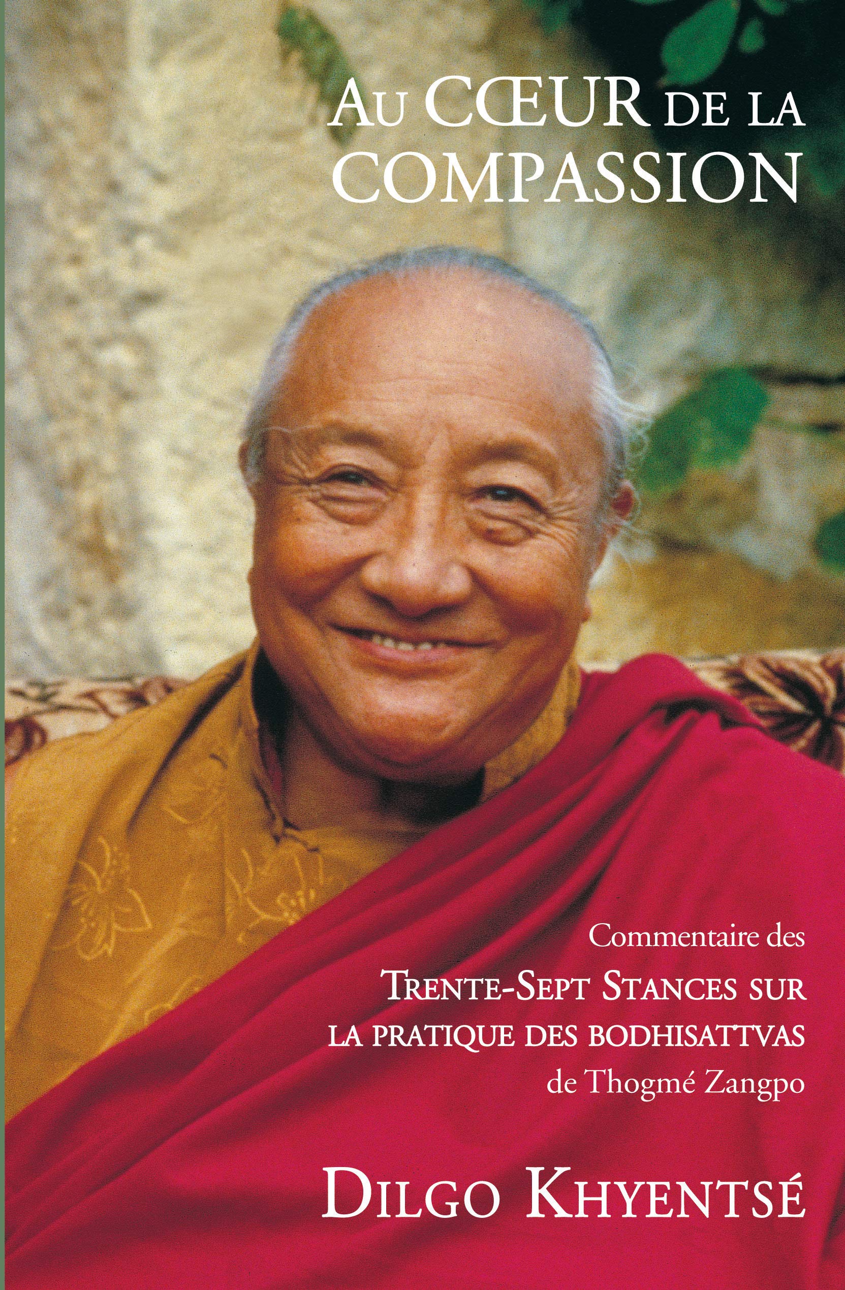 Au coeur de la compassion: Commentaire des Trente-Sept Stances sur la pratique des bodhisattvas 9782916915388