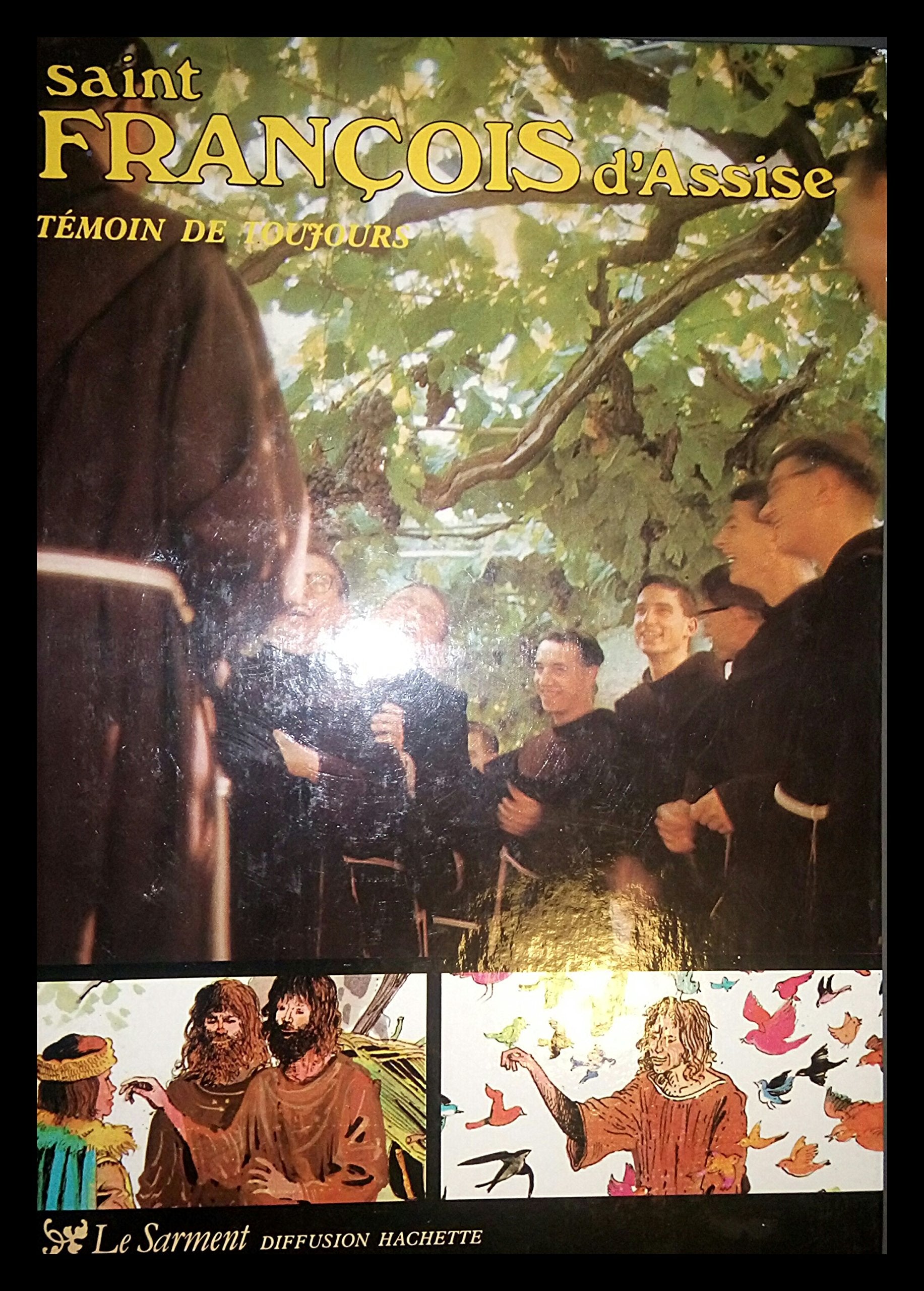 Saint François d'Assise (Témoins de toujours) 9782010079511