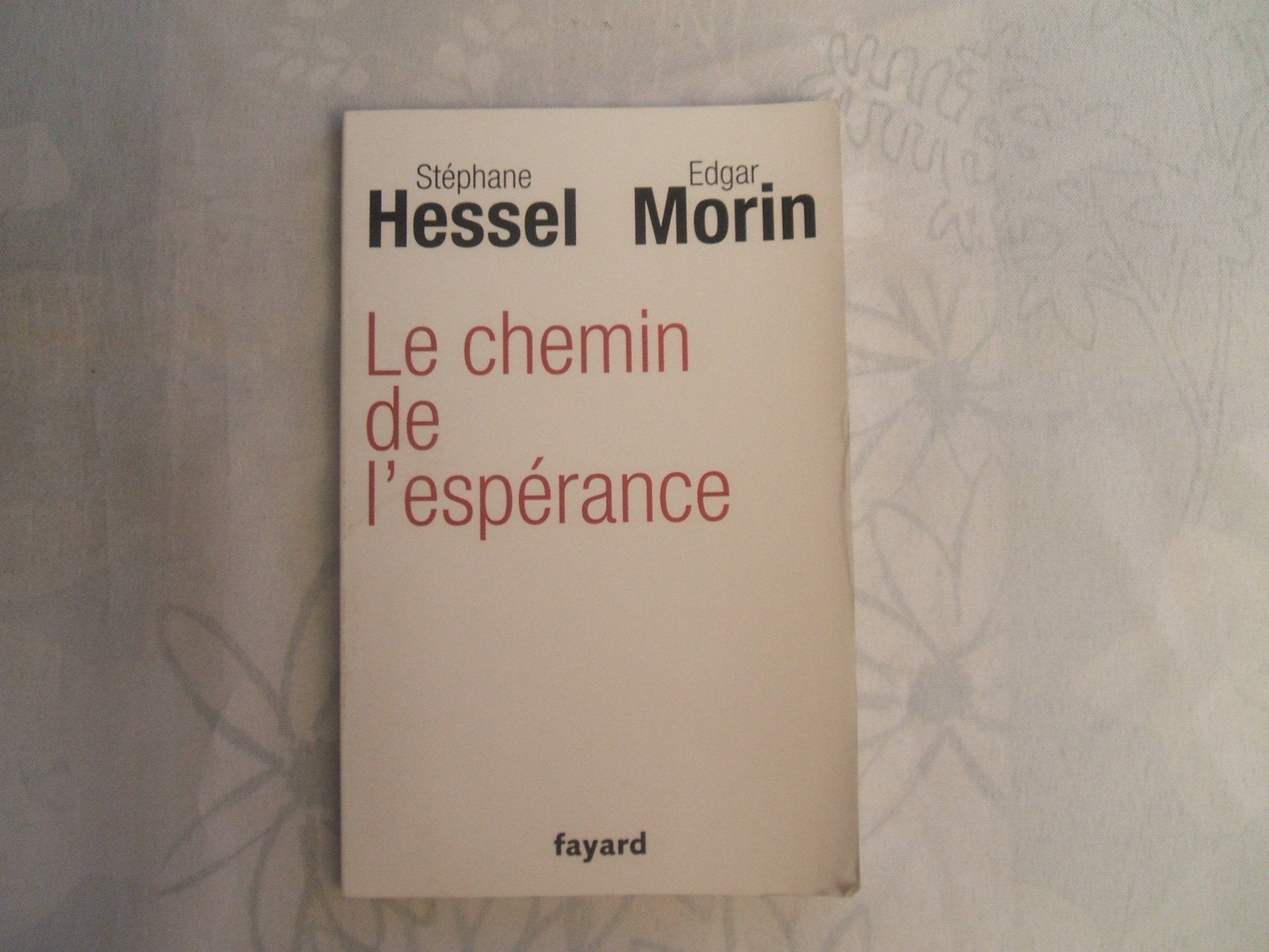 Le chemin de l'espérance 9782213666211