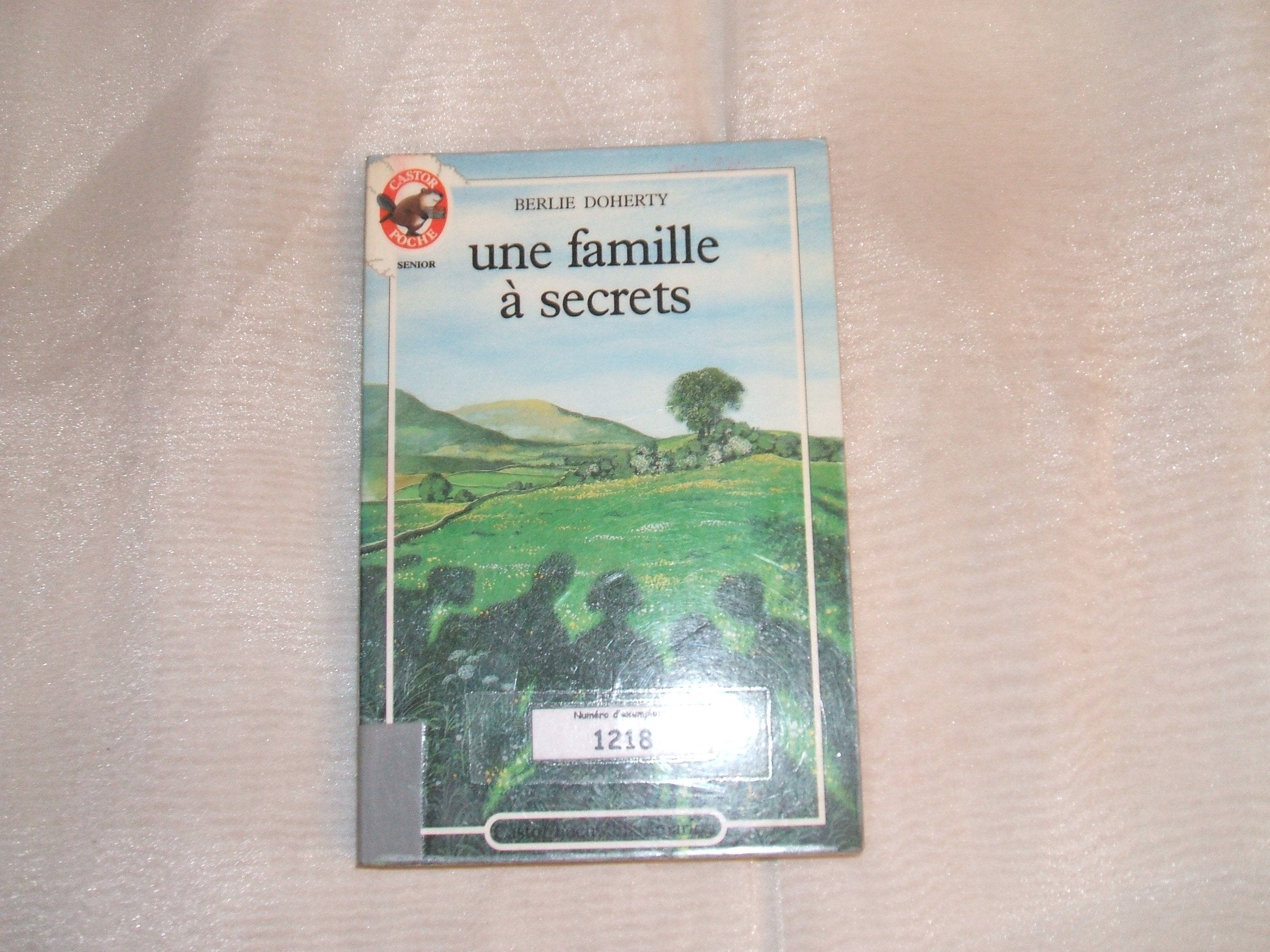 Famille a secrets (Une): - TRADUIT DE L'ANGLAIS - CASTOR POCHE SENIOR 9782081619647