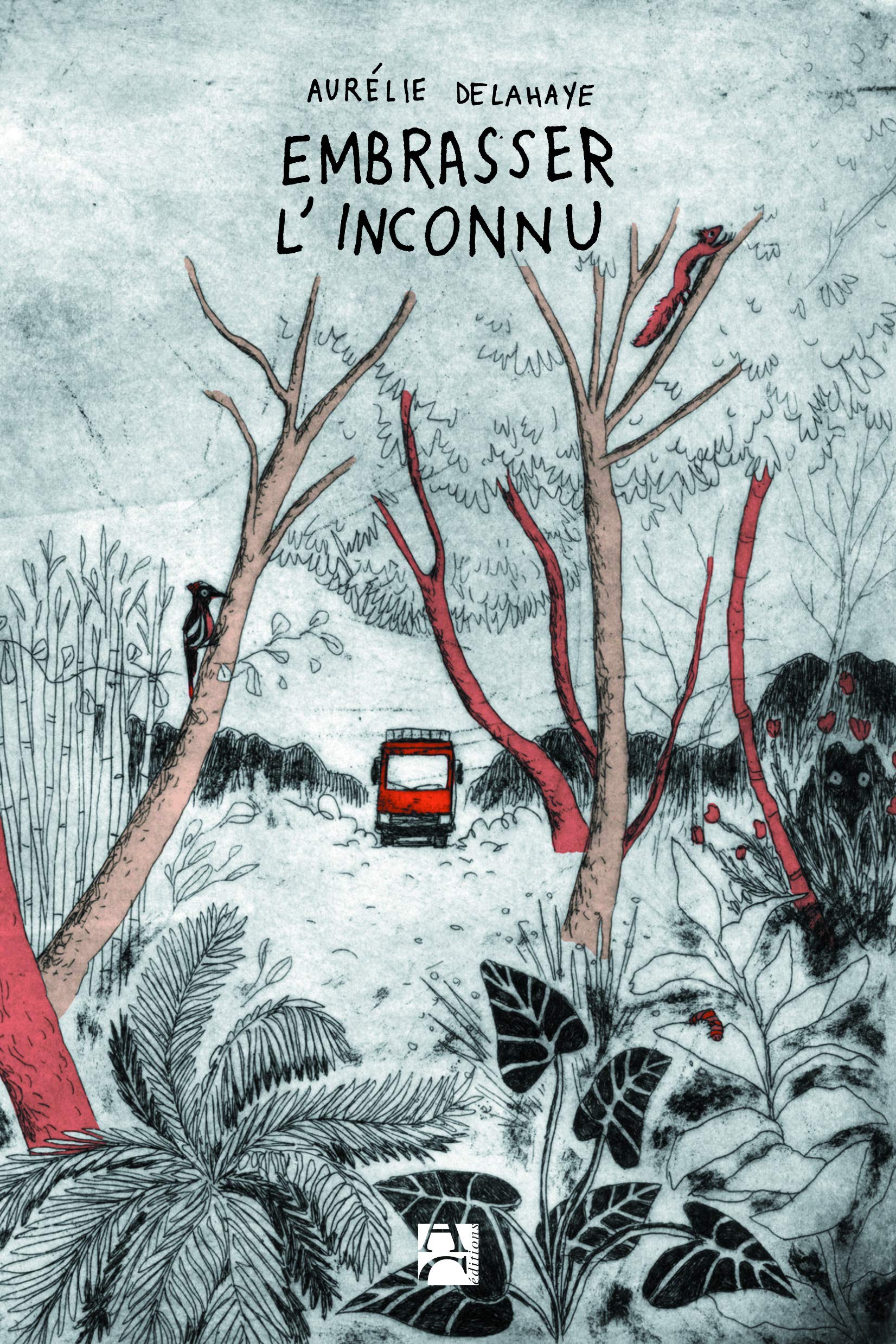 Embrasser l'inconnu 9782843379369