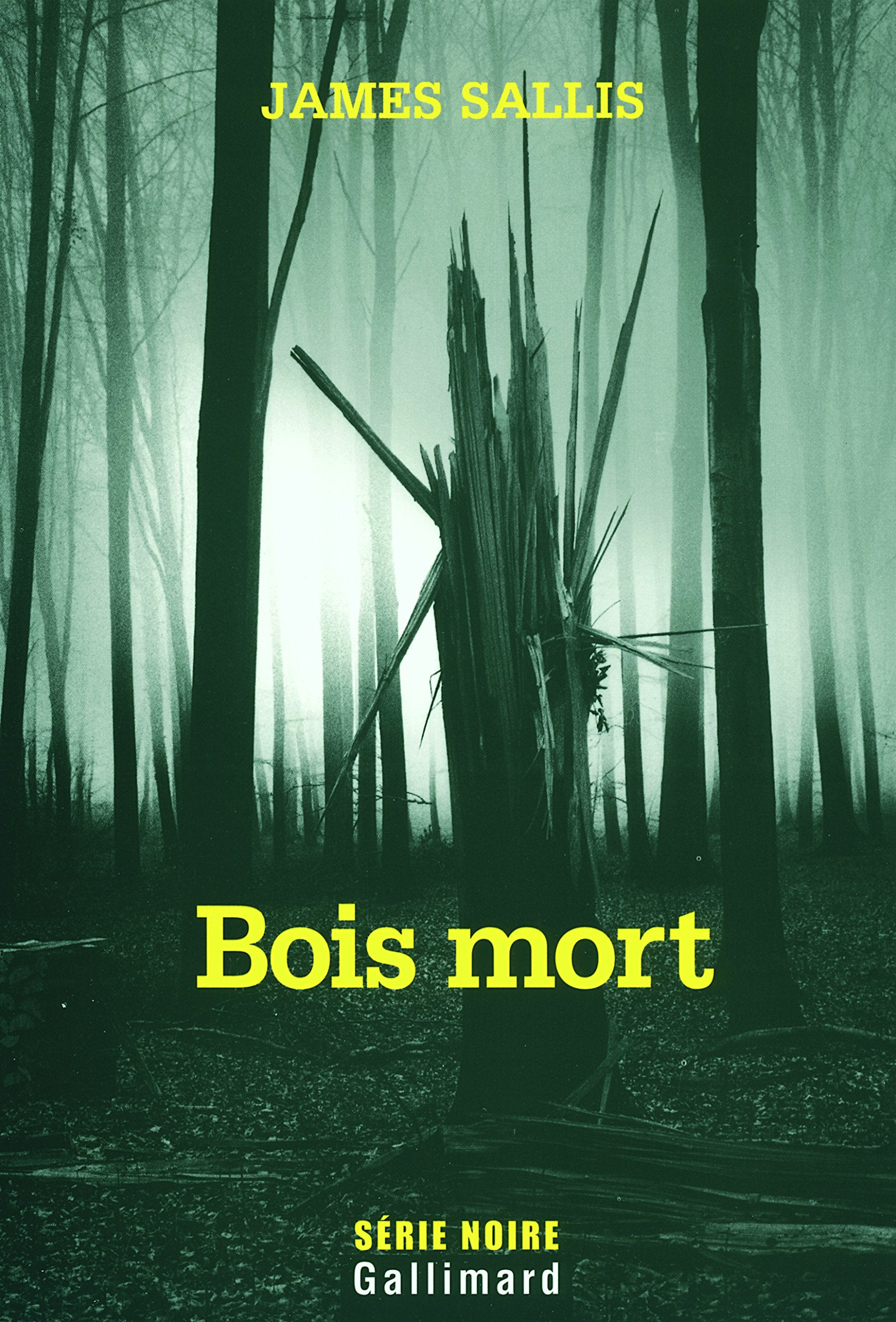 Bois mort: Une enquête de John Turner 9782070316755