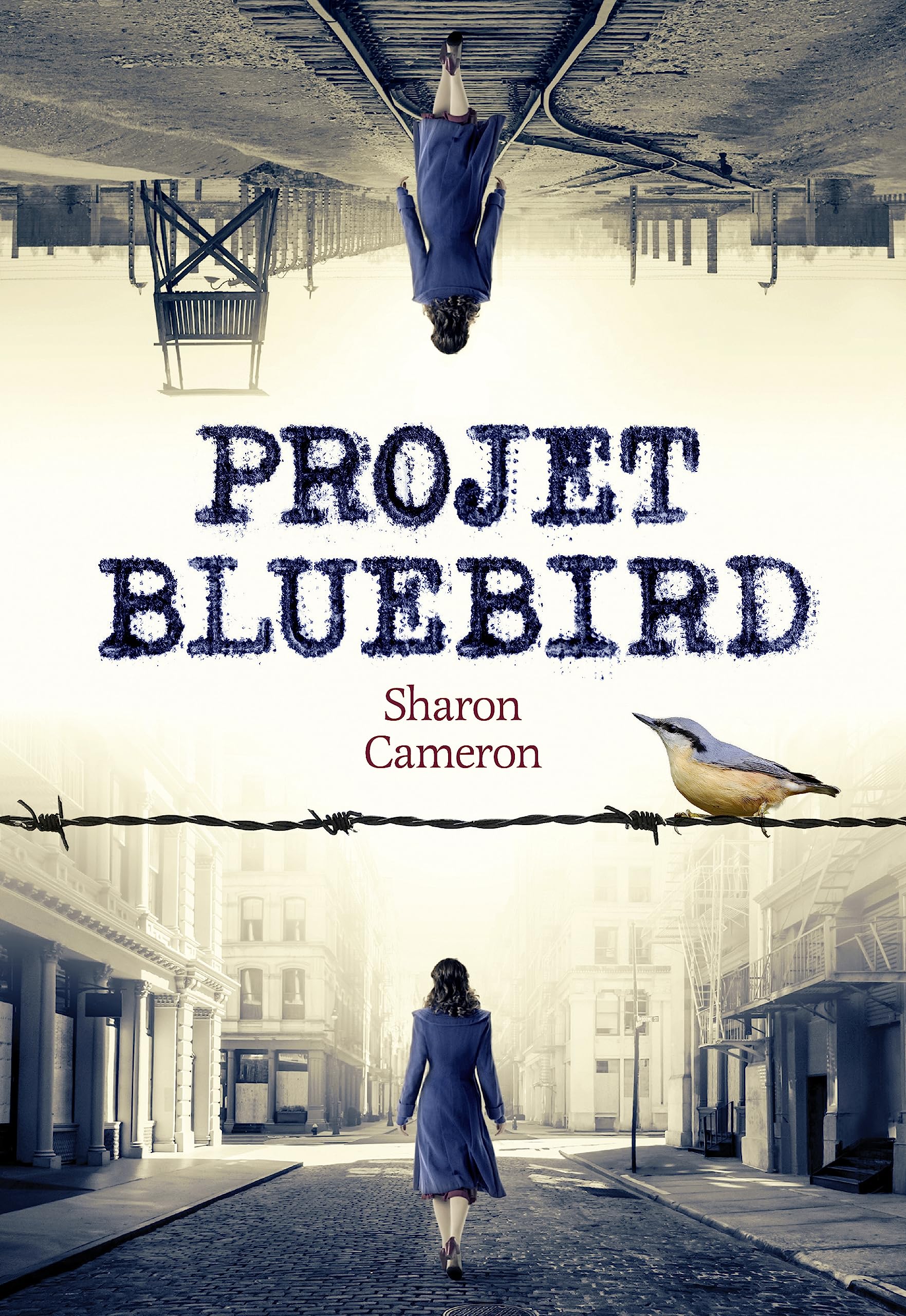 Projet Bluebird 9782075170345