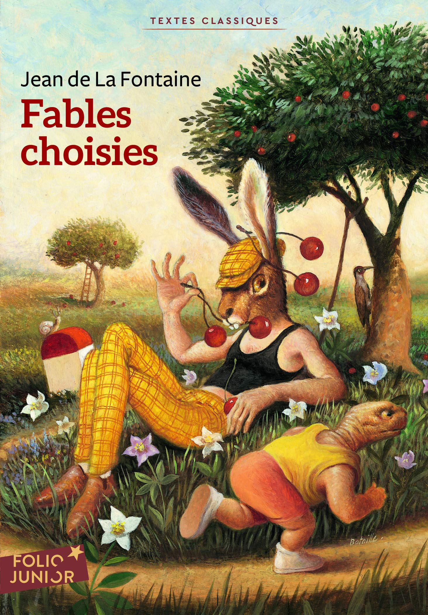 Fables choisies 9782070627592