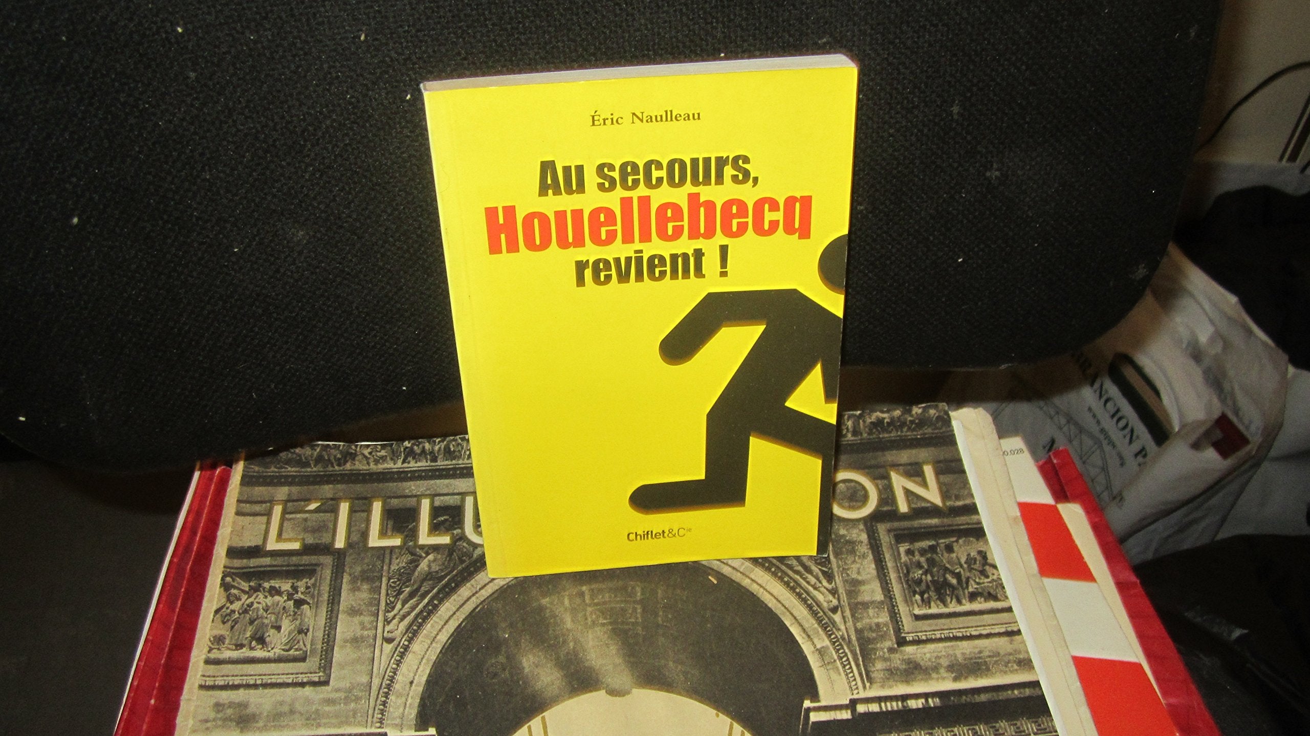 Au secours, Houellebecq revient ! 9782755600391