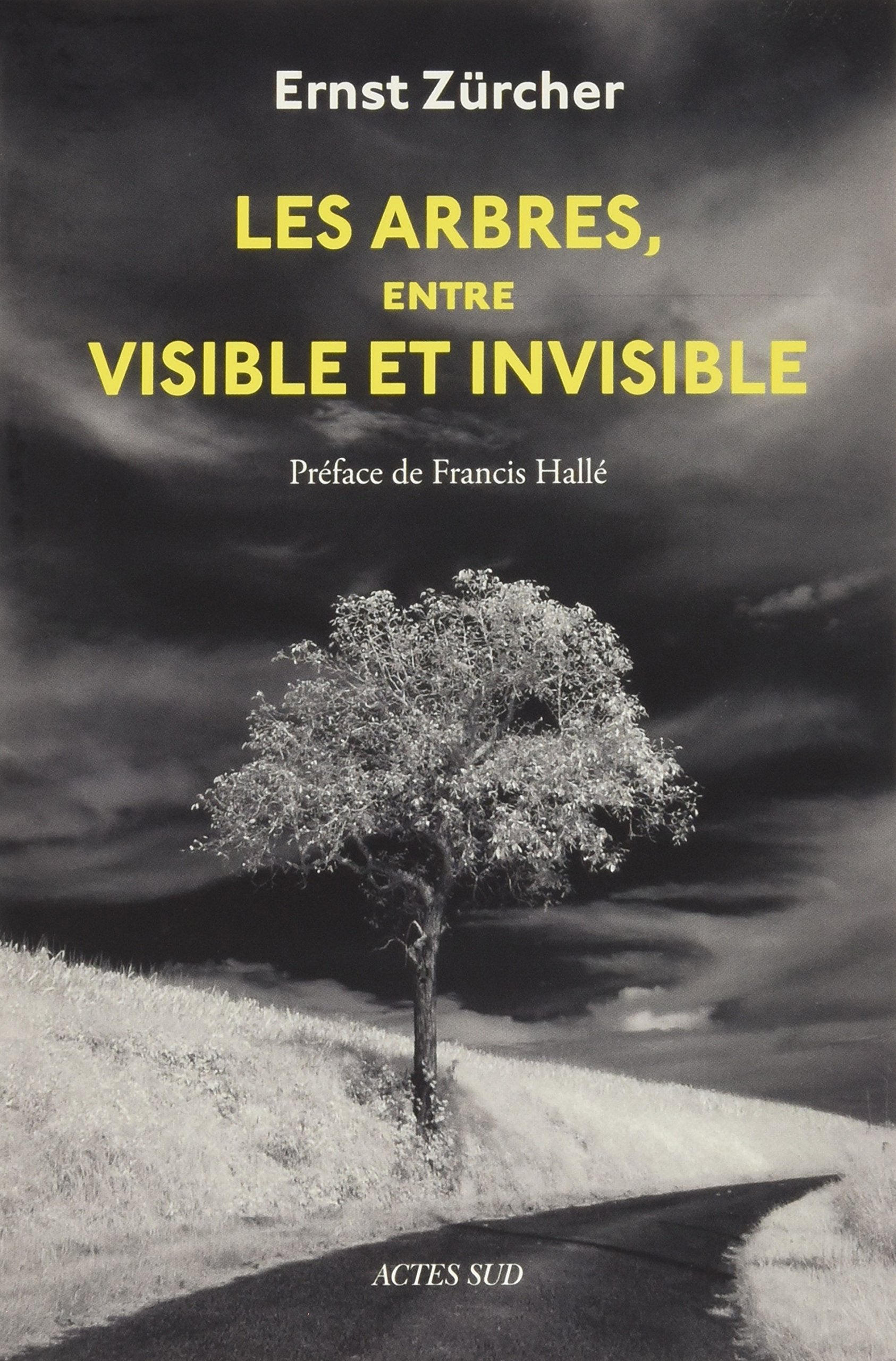 Les Arbres, entre visible et invisible: S'étonner, comprendre, agir 9782330065942