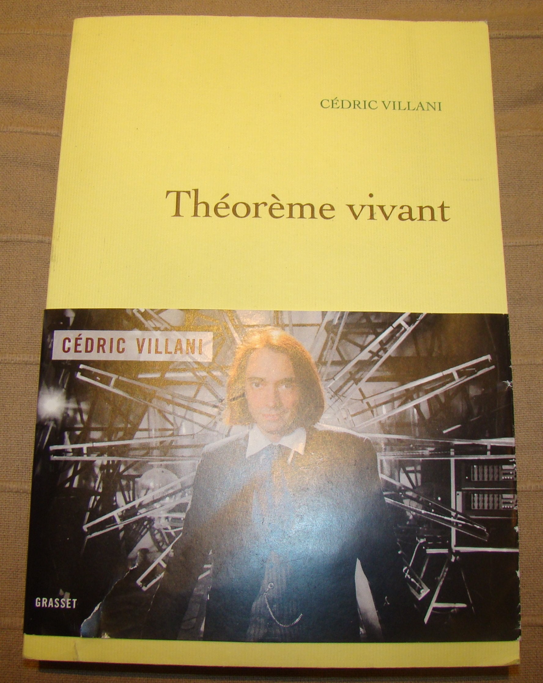 Théorème vivant 9782246798828