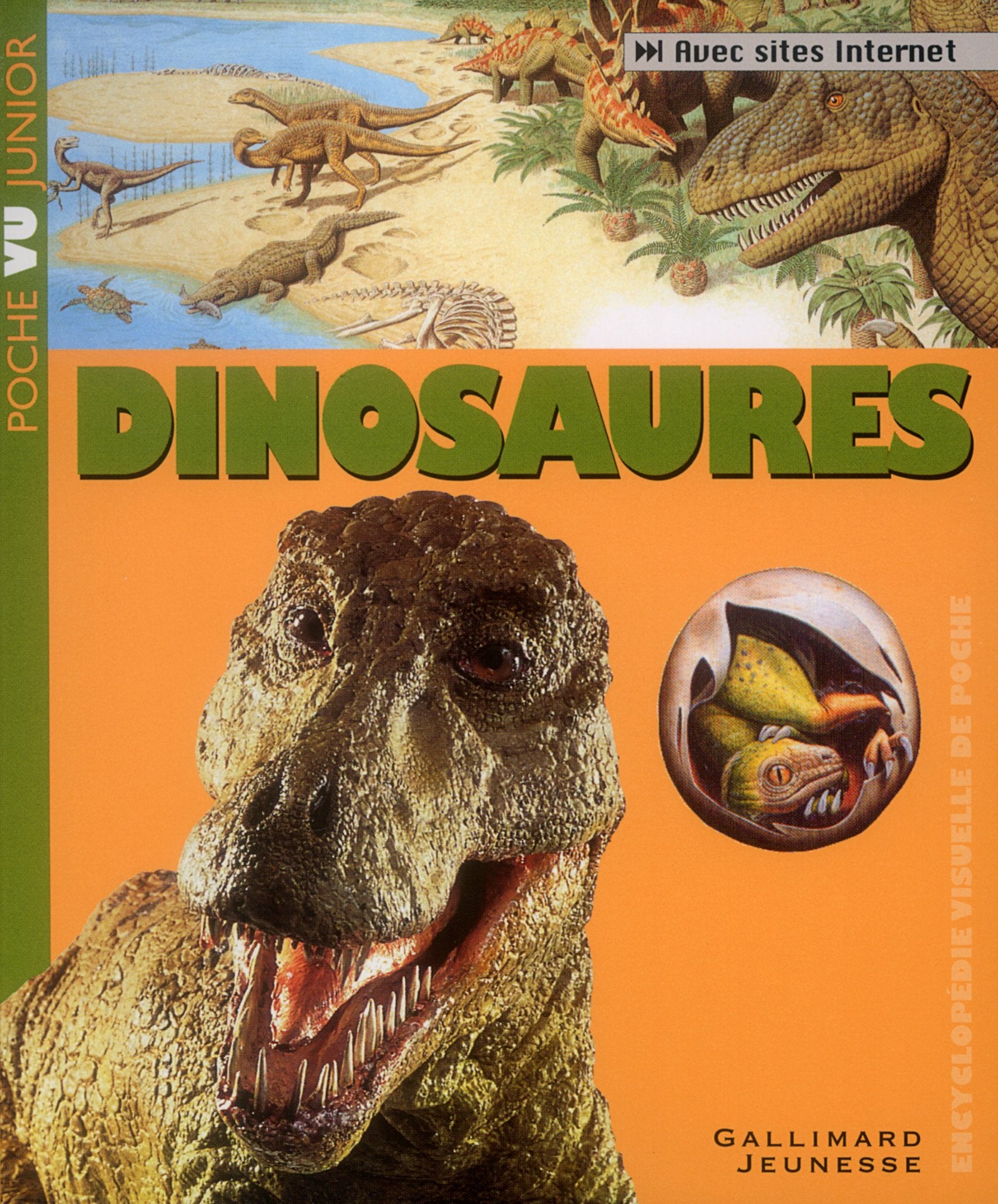 Dinosaures 9782070553136