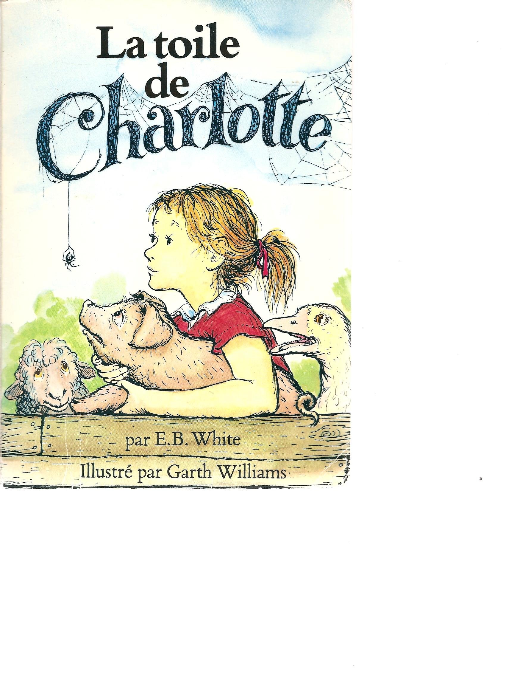 Sacha perd tout 9782211022767