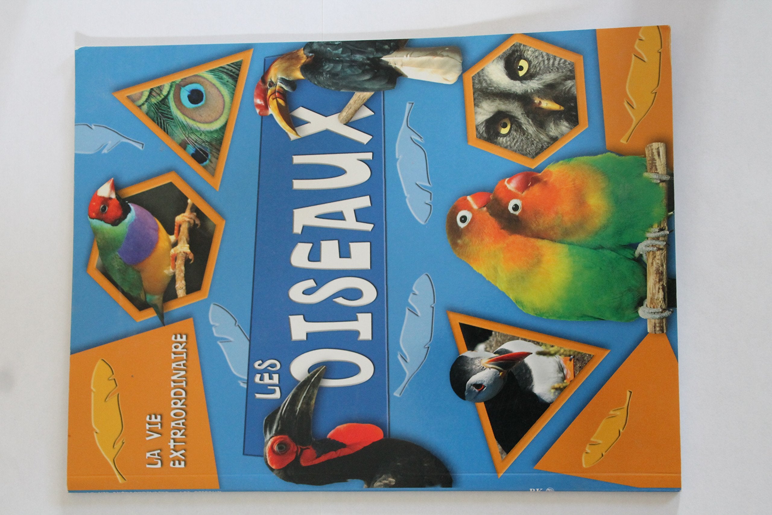 Les oiseaux 9782849035856