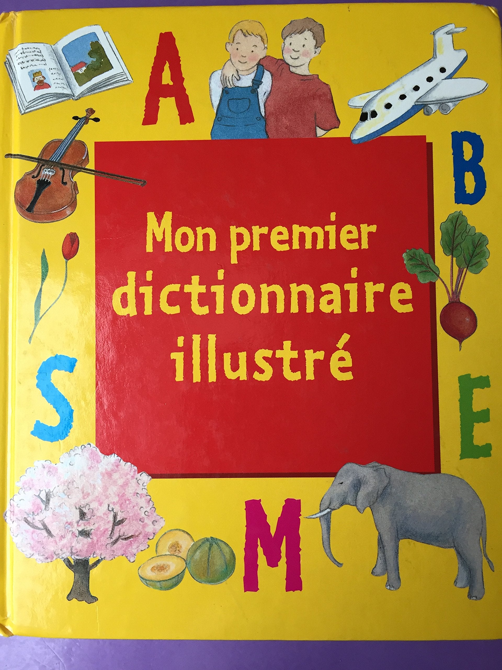 Mon premier dictionnaire illustré 9782867213939