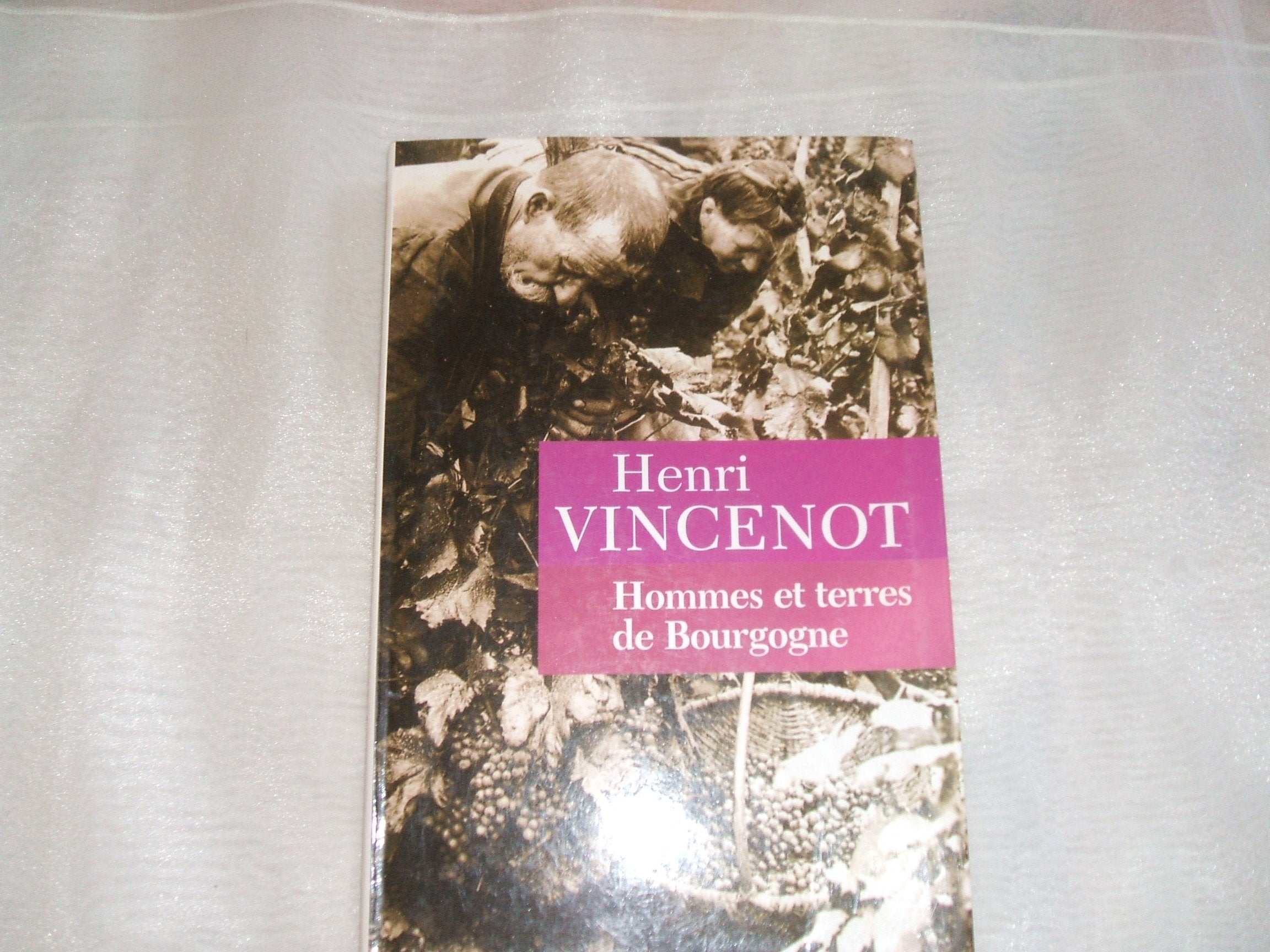 Hommes et terres de Bourgogne 9782702840856