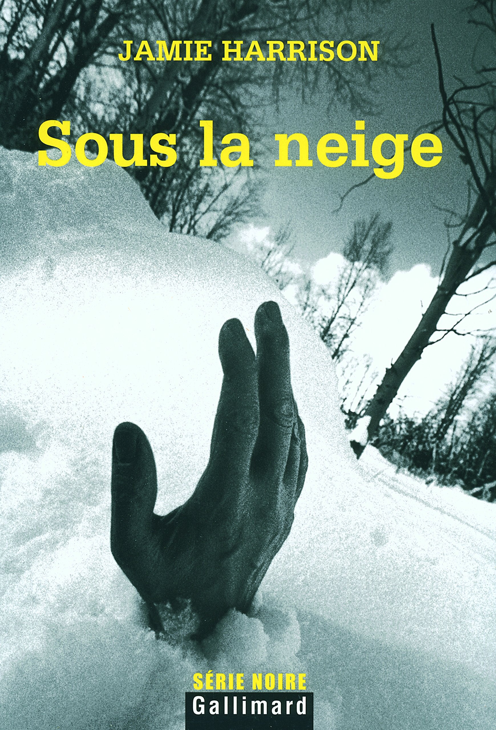 Sous la neige 9782070301287