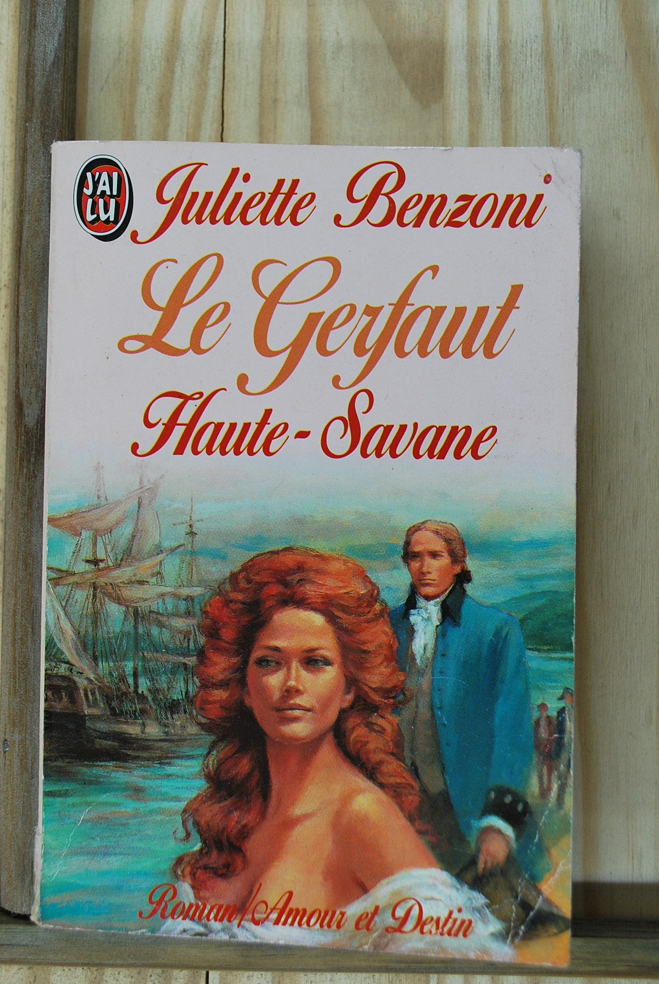Le gerfaut des brumes, tome 4 : Haute-Savanne 9782277222095