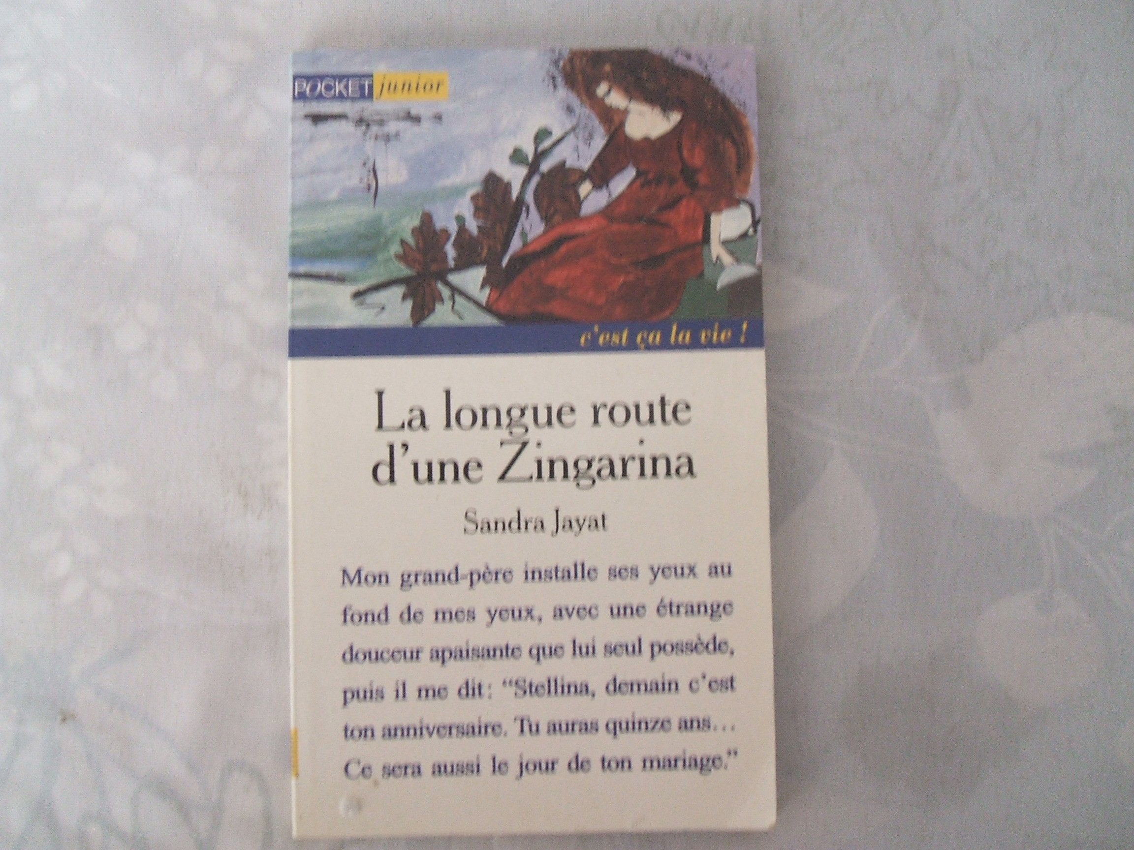La longue route d'une Zingarina 9782266070768