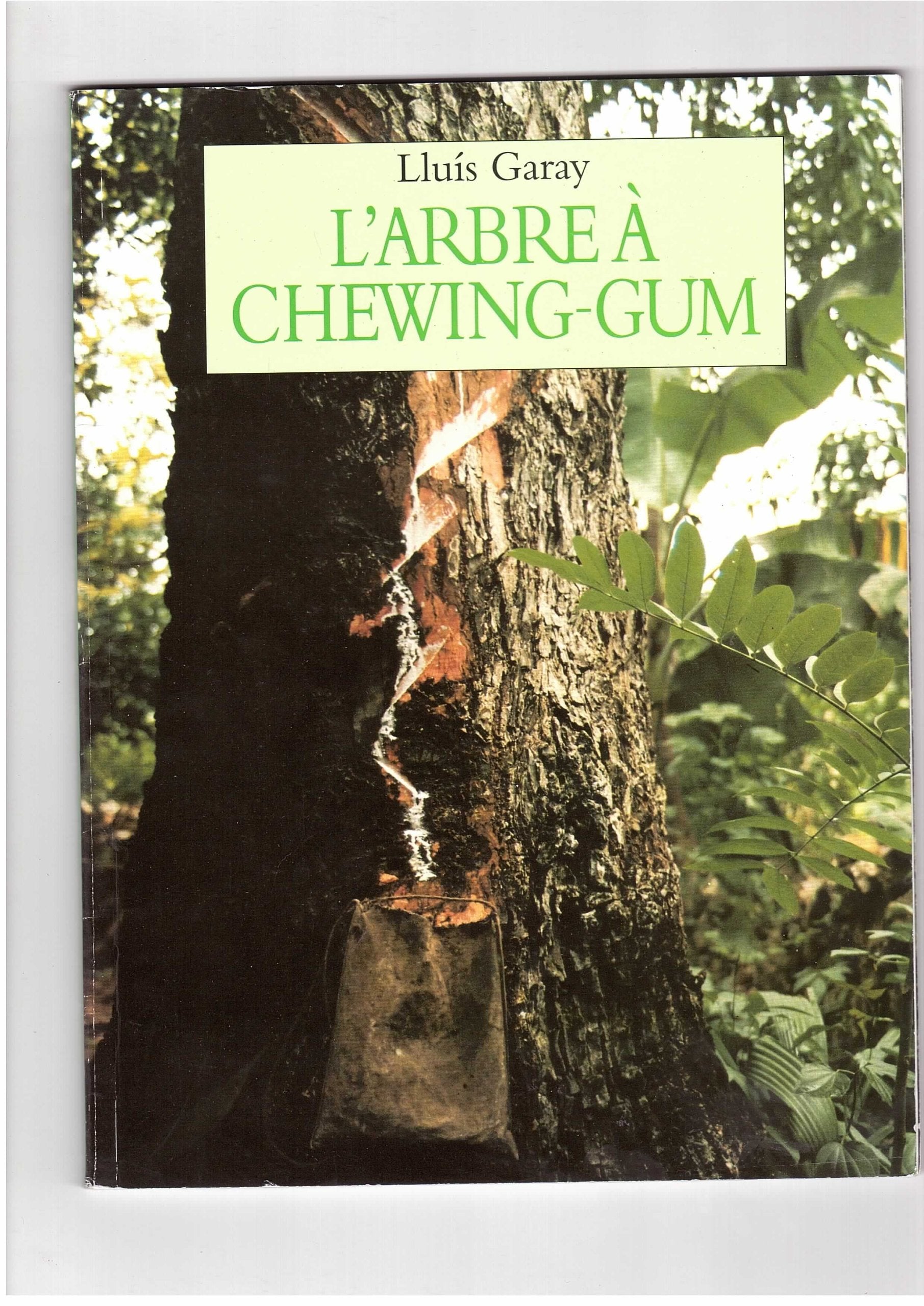L'arbre a Chewing-Gum 9782211020879