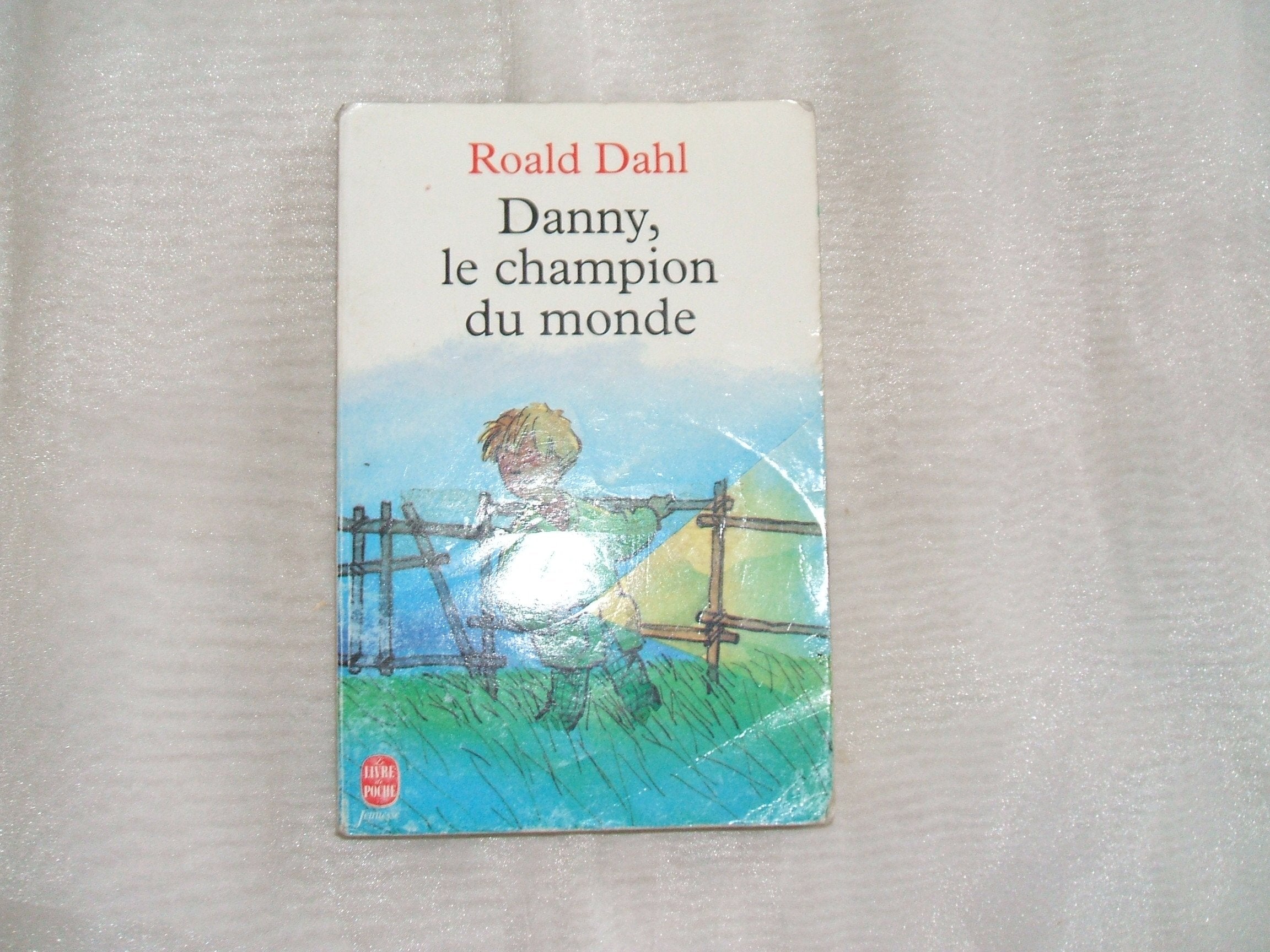 Danny, le champion du monde 9782010147692