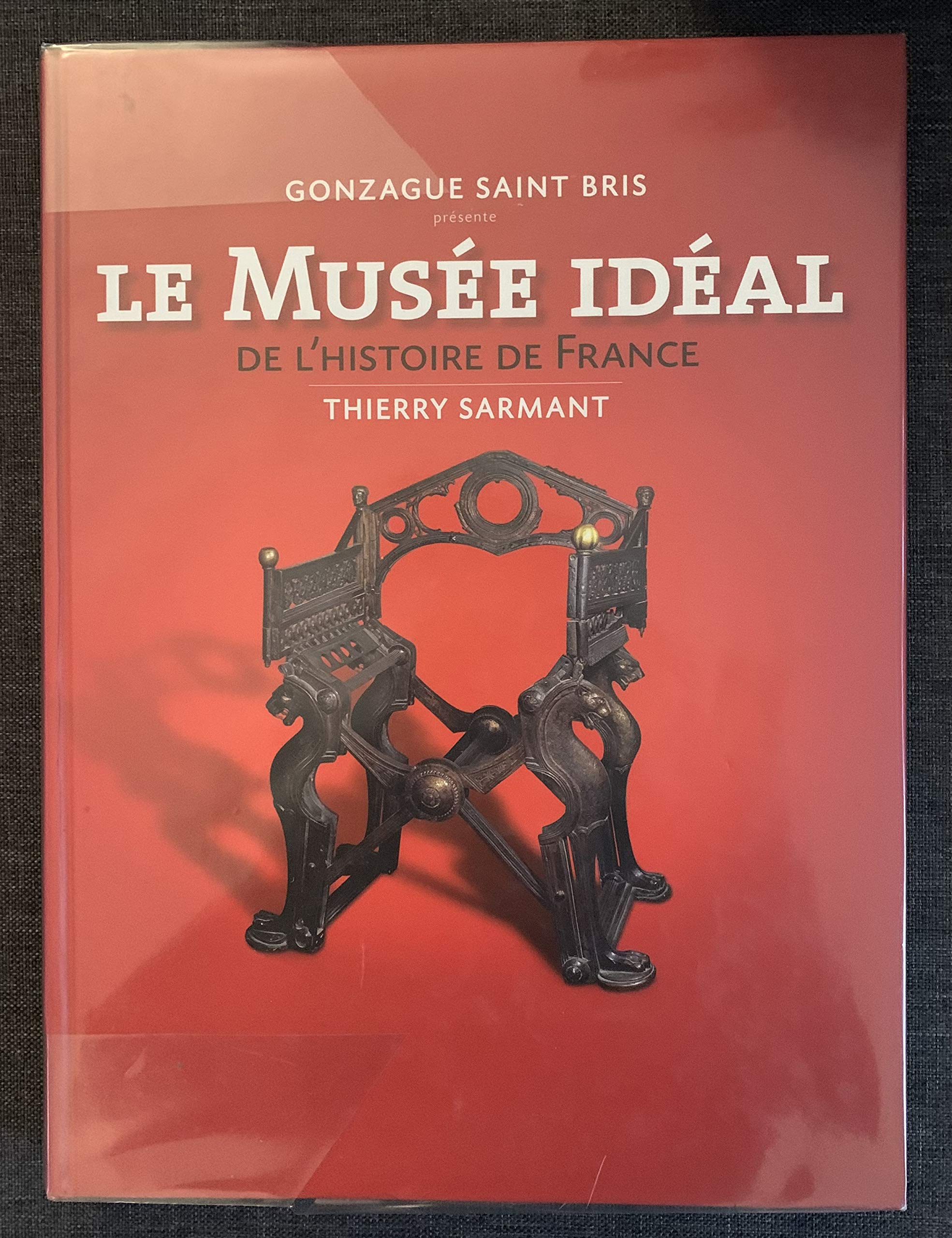 Le Musée idéal de l'histoire de France 9782286082581