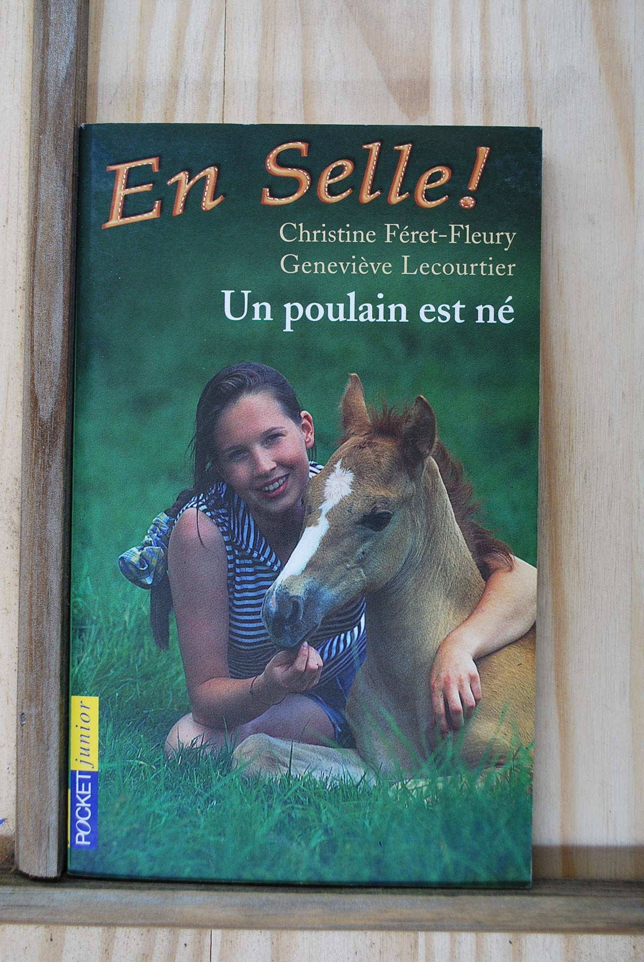En selle, tome 1 : Le poulain est né 9782266118835