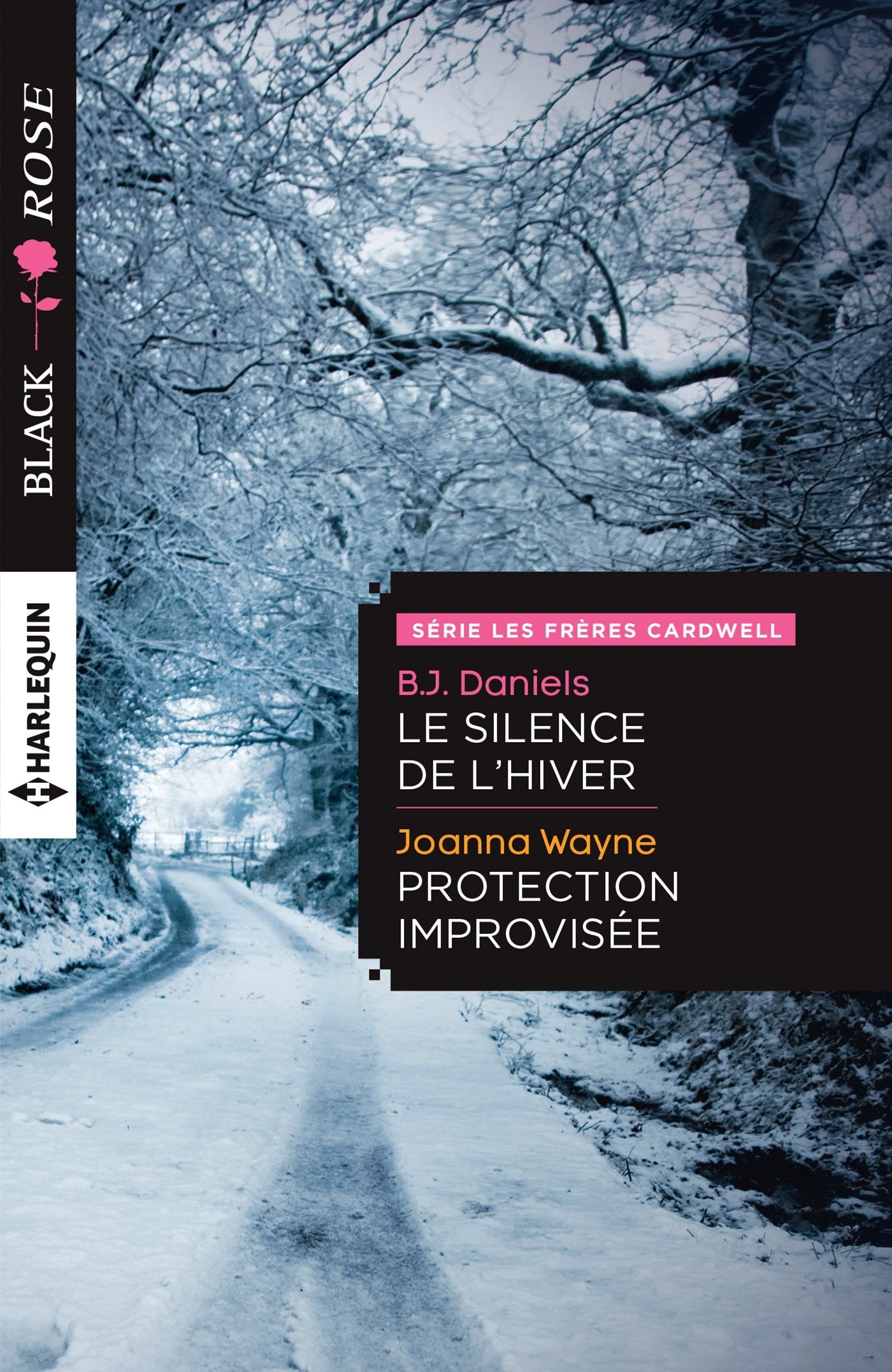 Le silence de l'hiver ; Protection improvisée 9782280345521