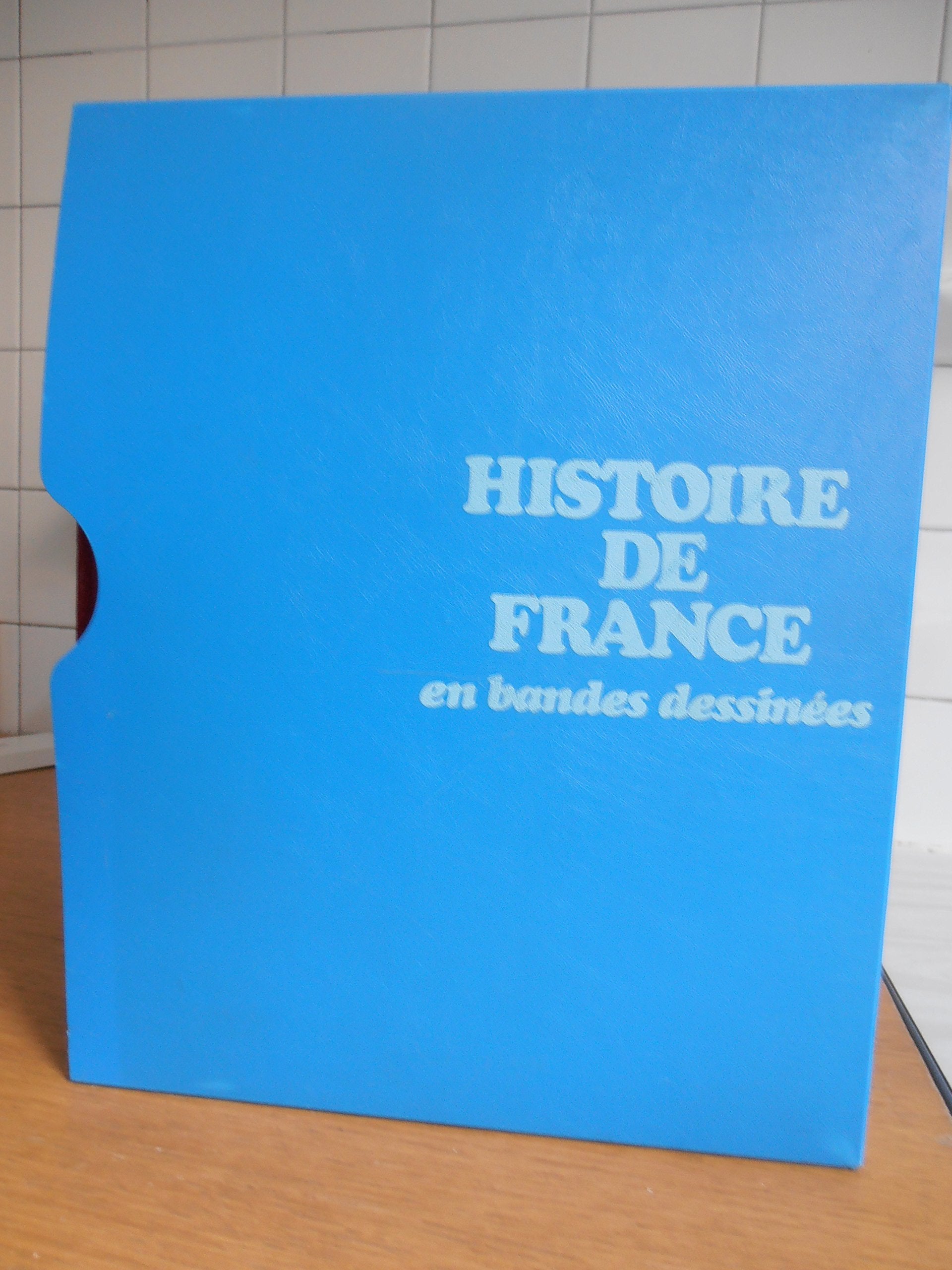 Histoire de France en Bandes Dessinées. De Vercingétorix aux Vikings 9782724225921